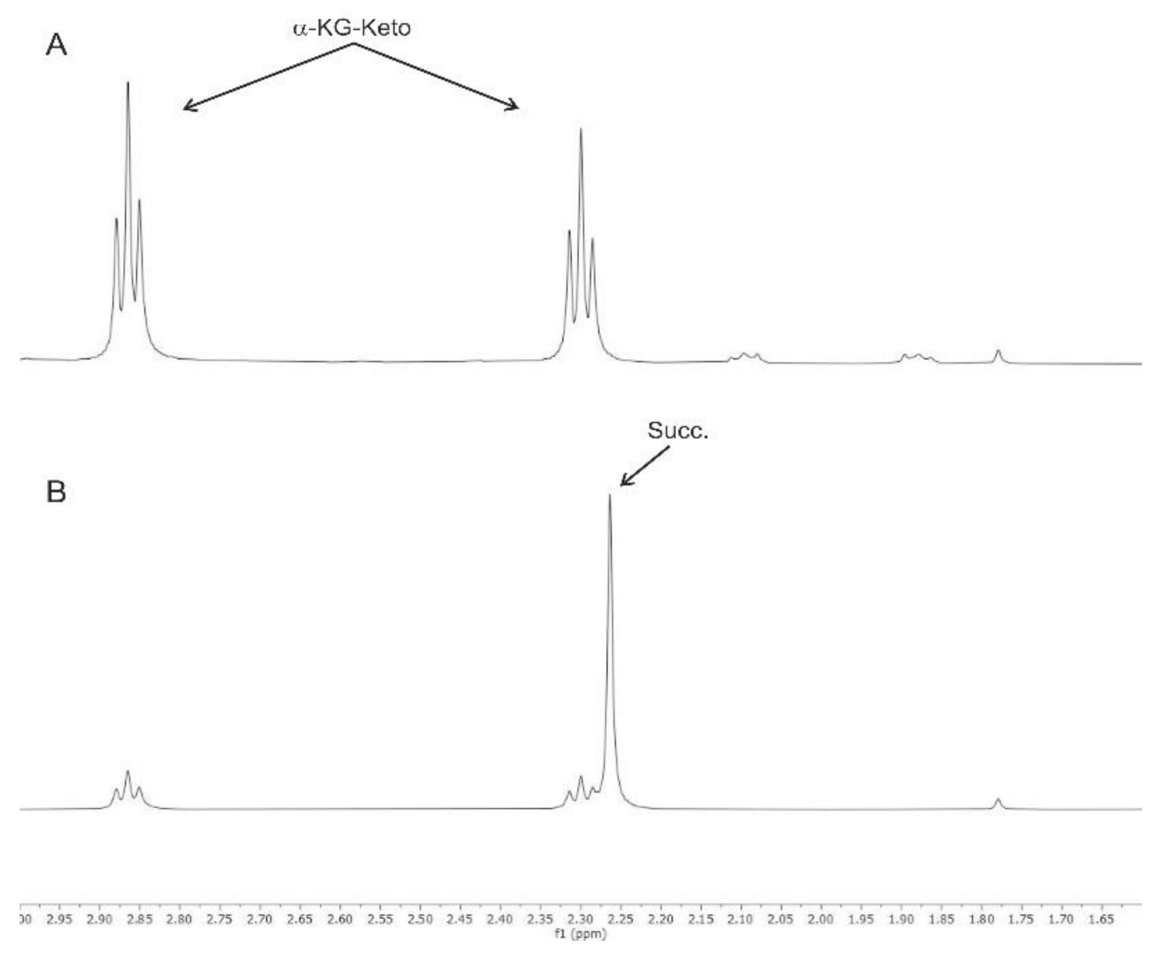 Antioxidants 10 01501 g001