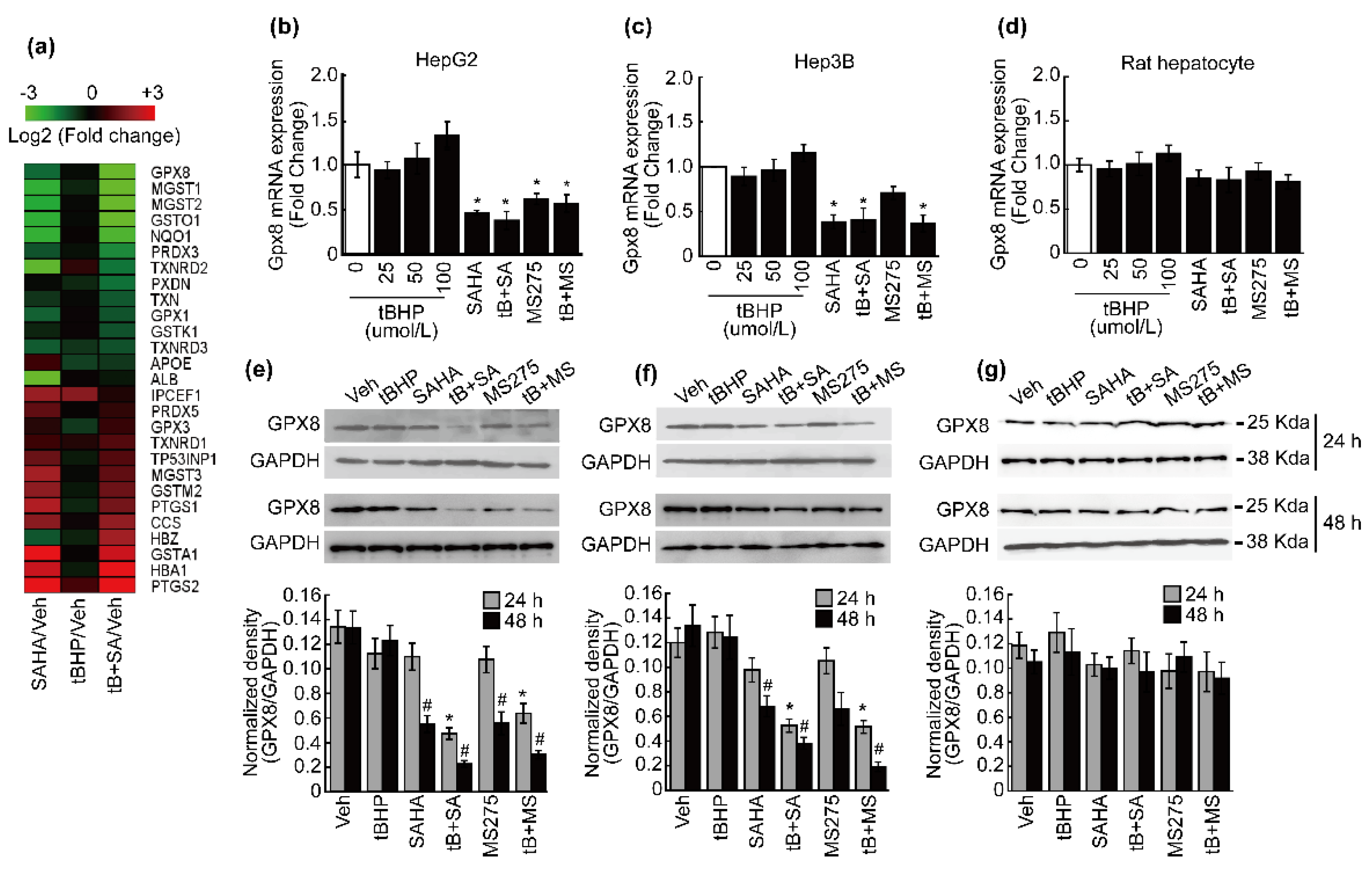 Antioxidants 10 01503 g001