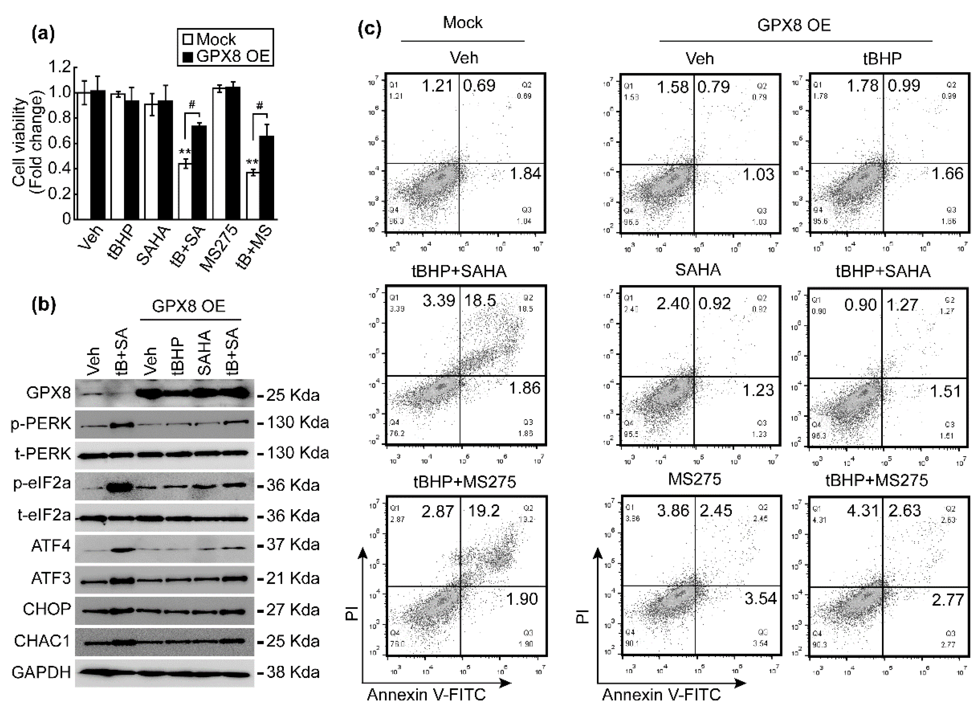 Antioxidants 10 01503 g007