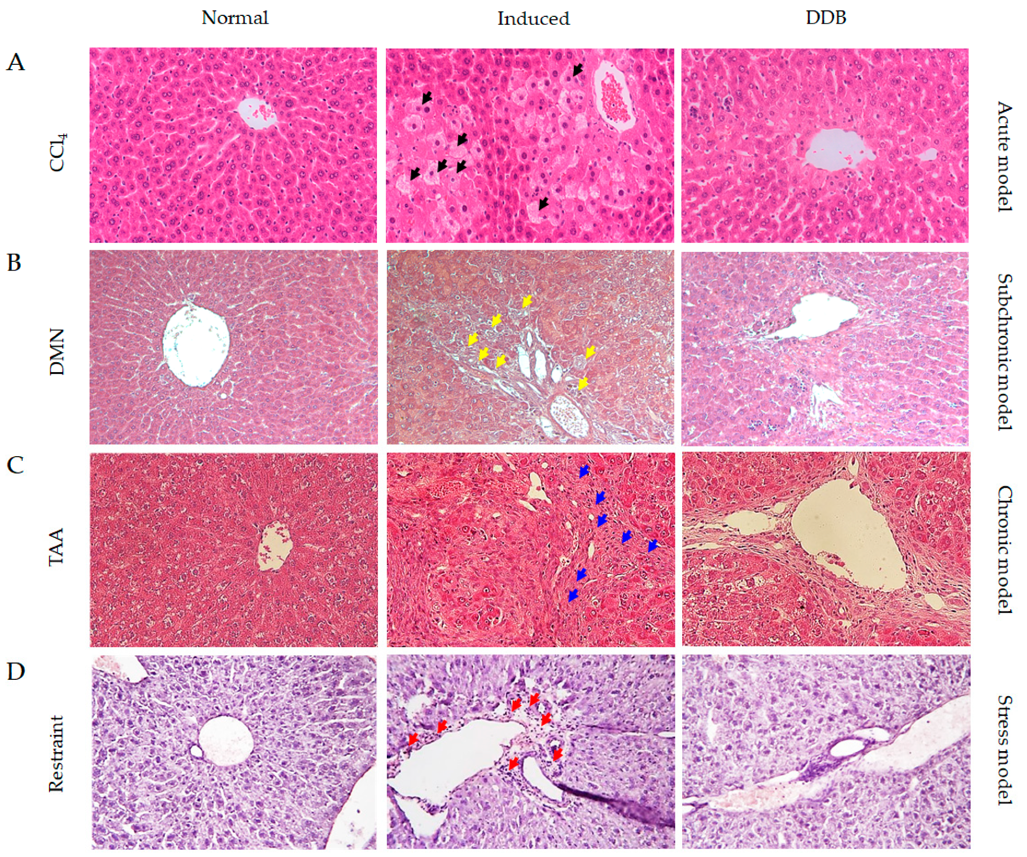 Antioxidants 10 01508 g005