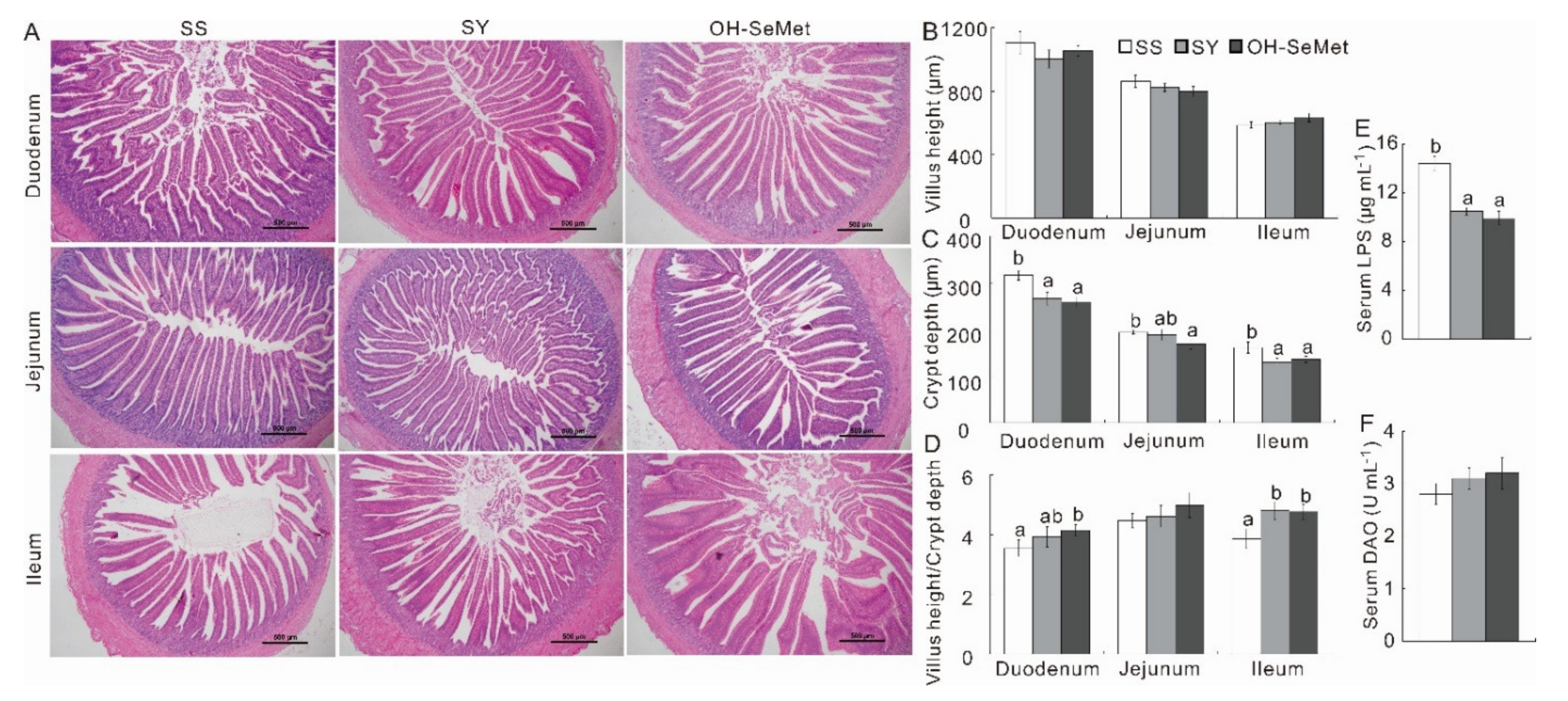 Antioxidants 10 01542 g002