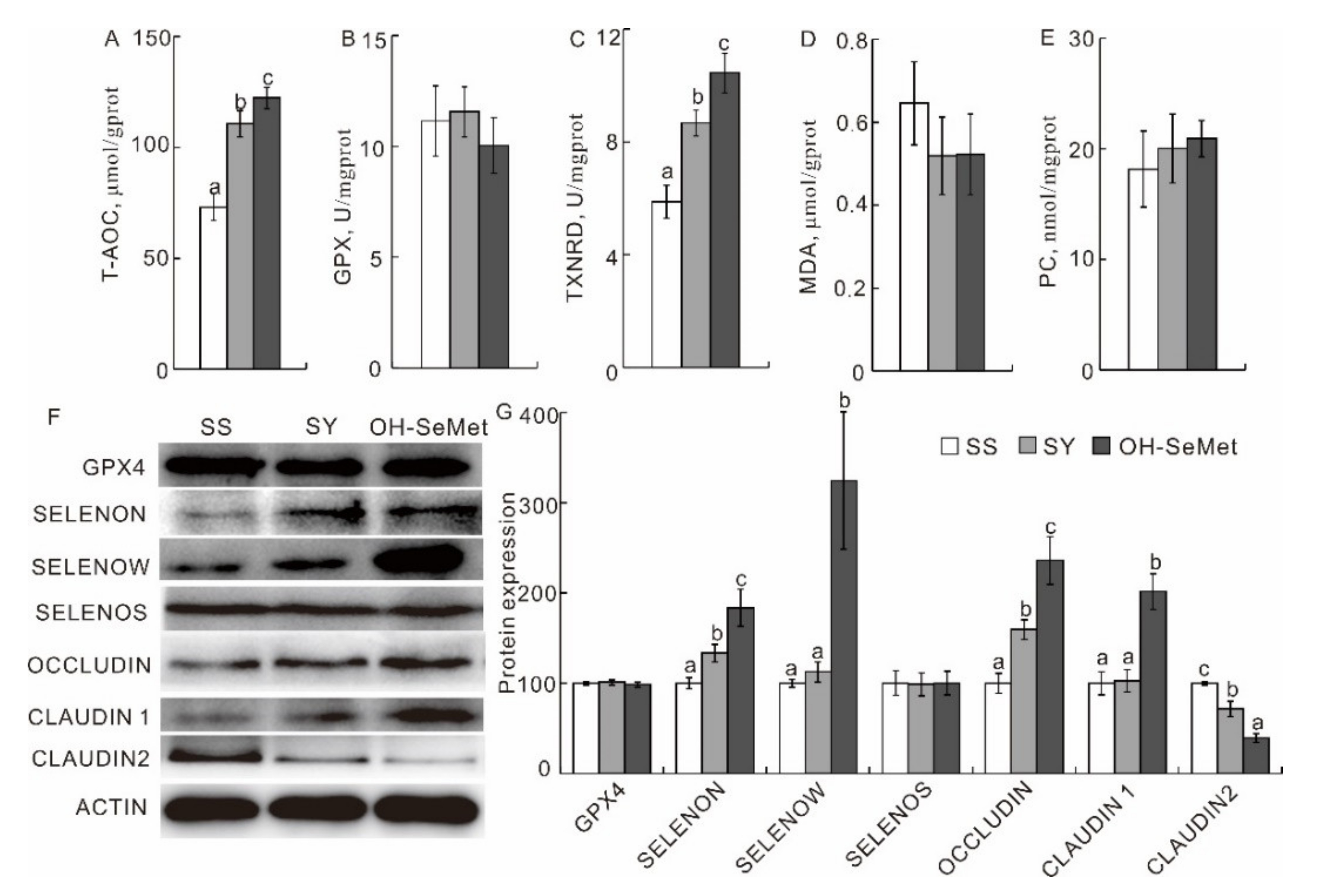 Antioxidants 10 01542 g003