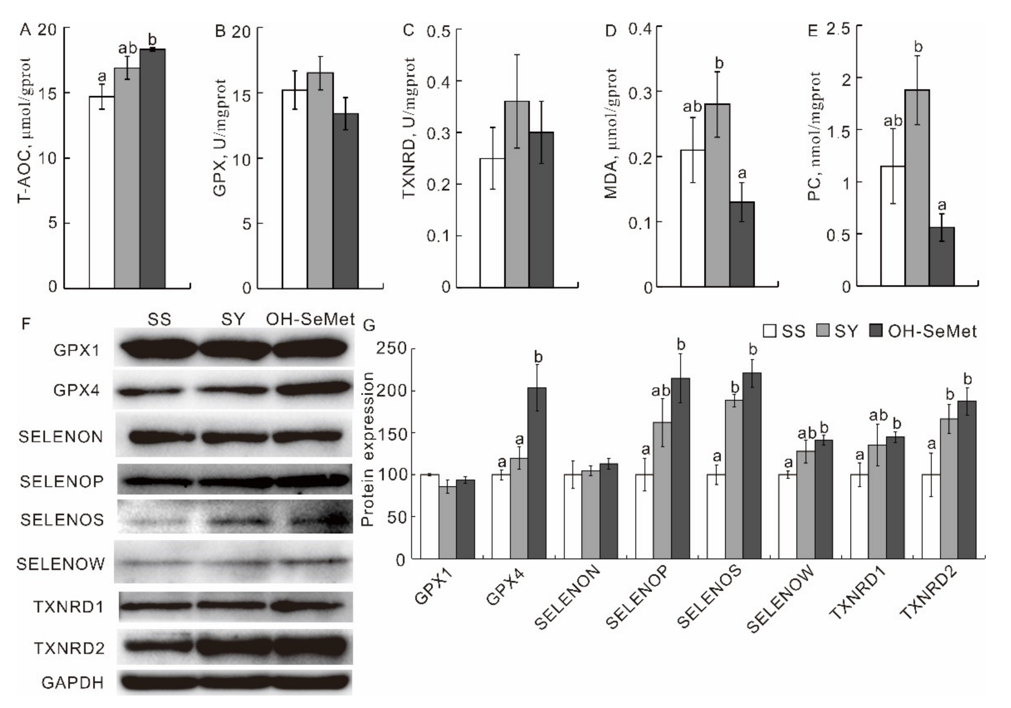 Antioxidants 10 01542 g004