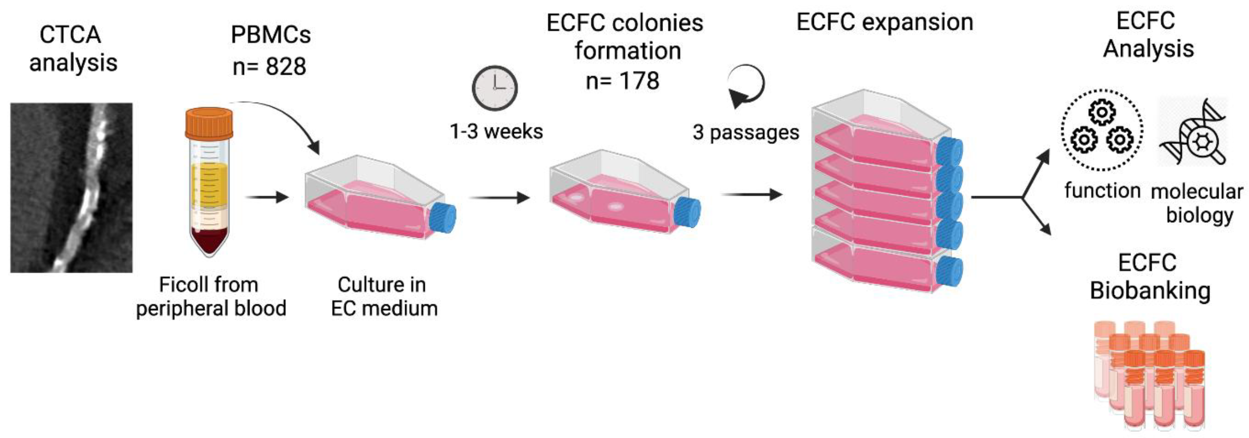 Antioxidants 10 01547 g001