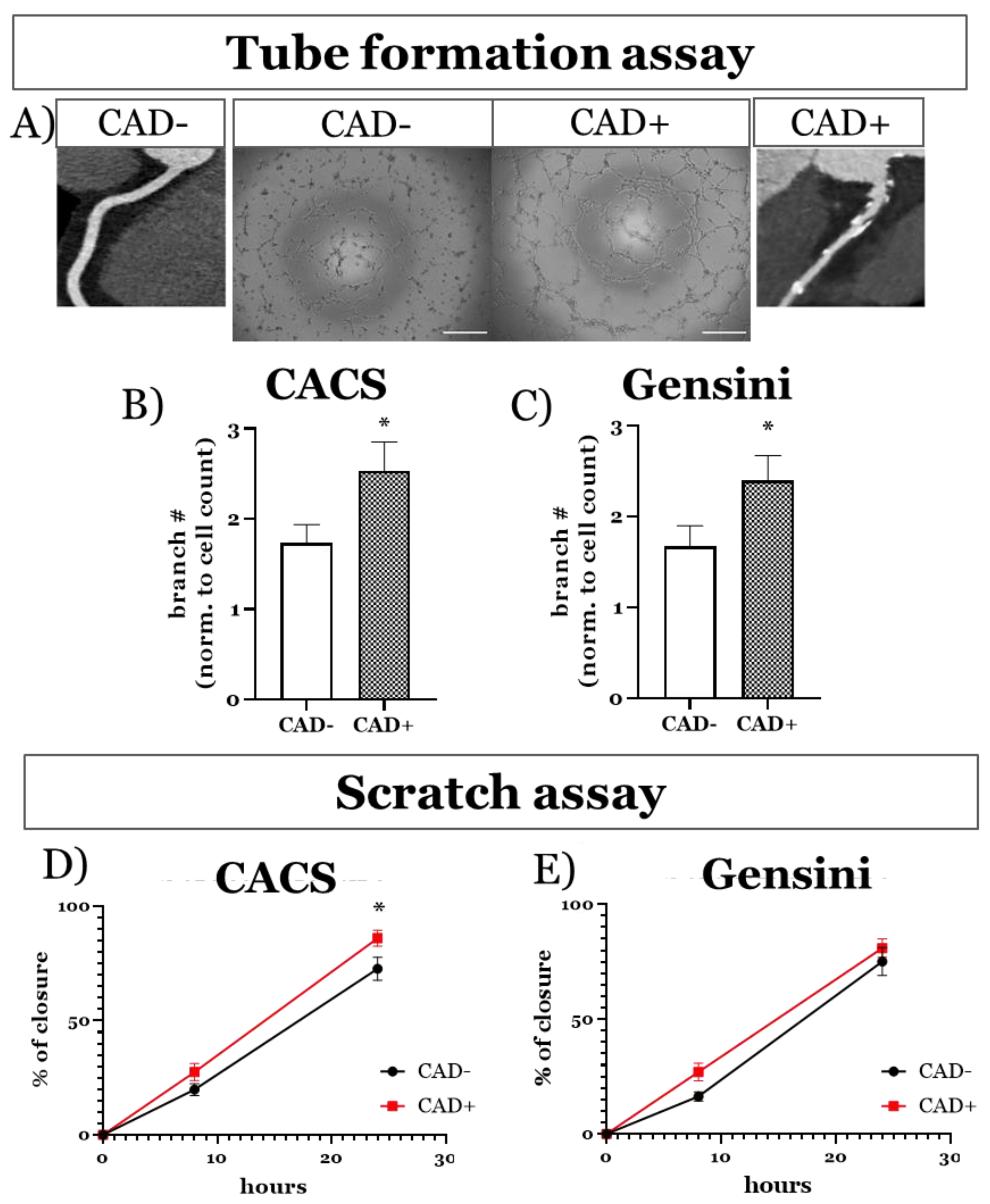 Antioxidants 10 01547 g004