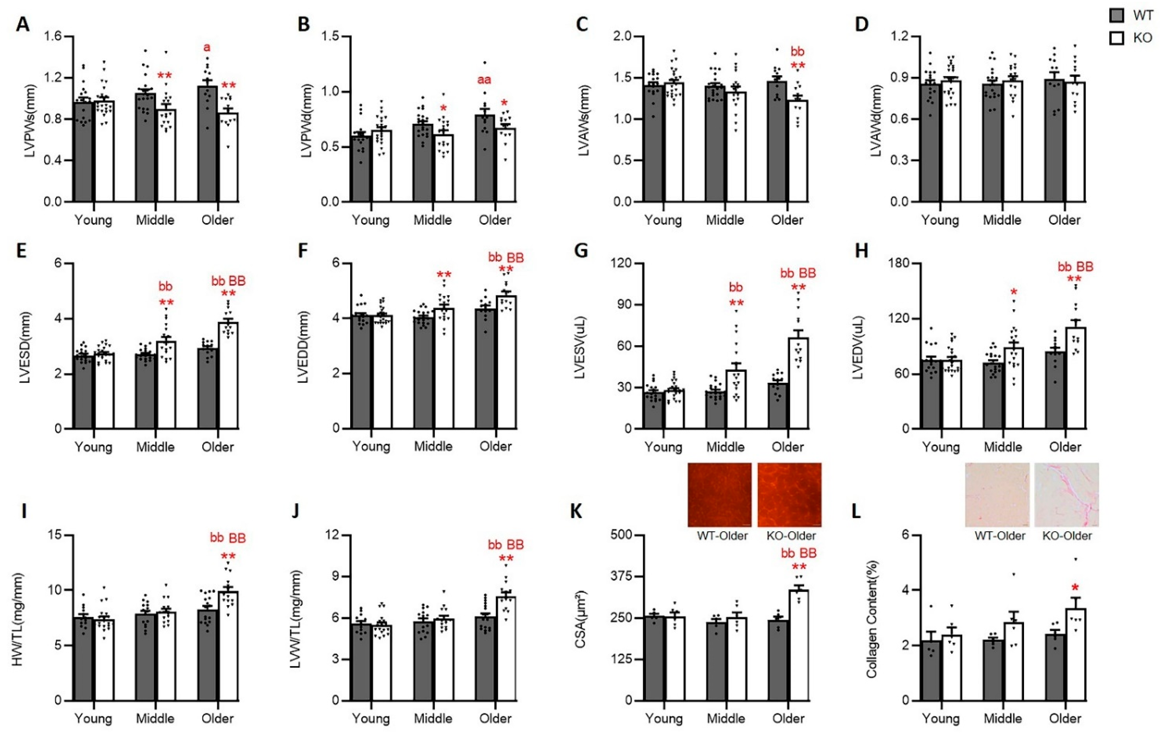 Antioxidants 10 01550 g001 Antioxidants 10 01550 g001