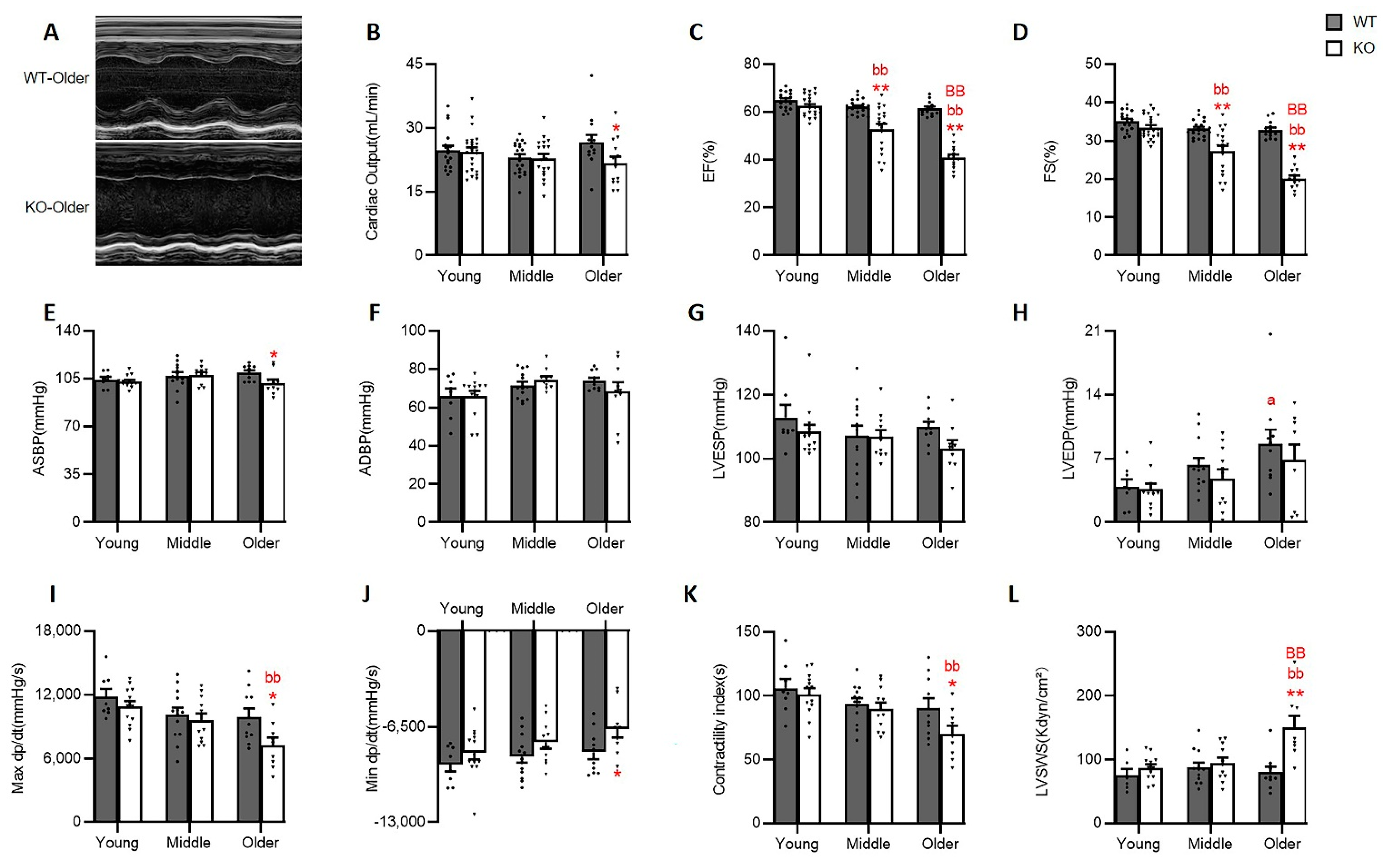 Antioxidants 10 01550 g002 Antioxidants 10 01550 g002