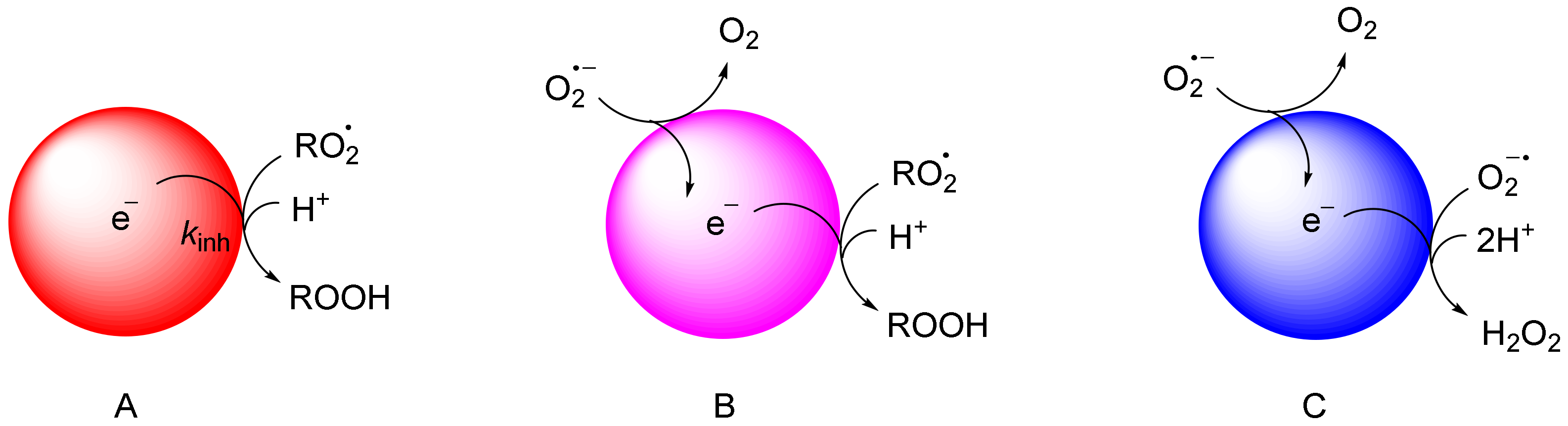 Antioxidants 10 01551 g004