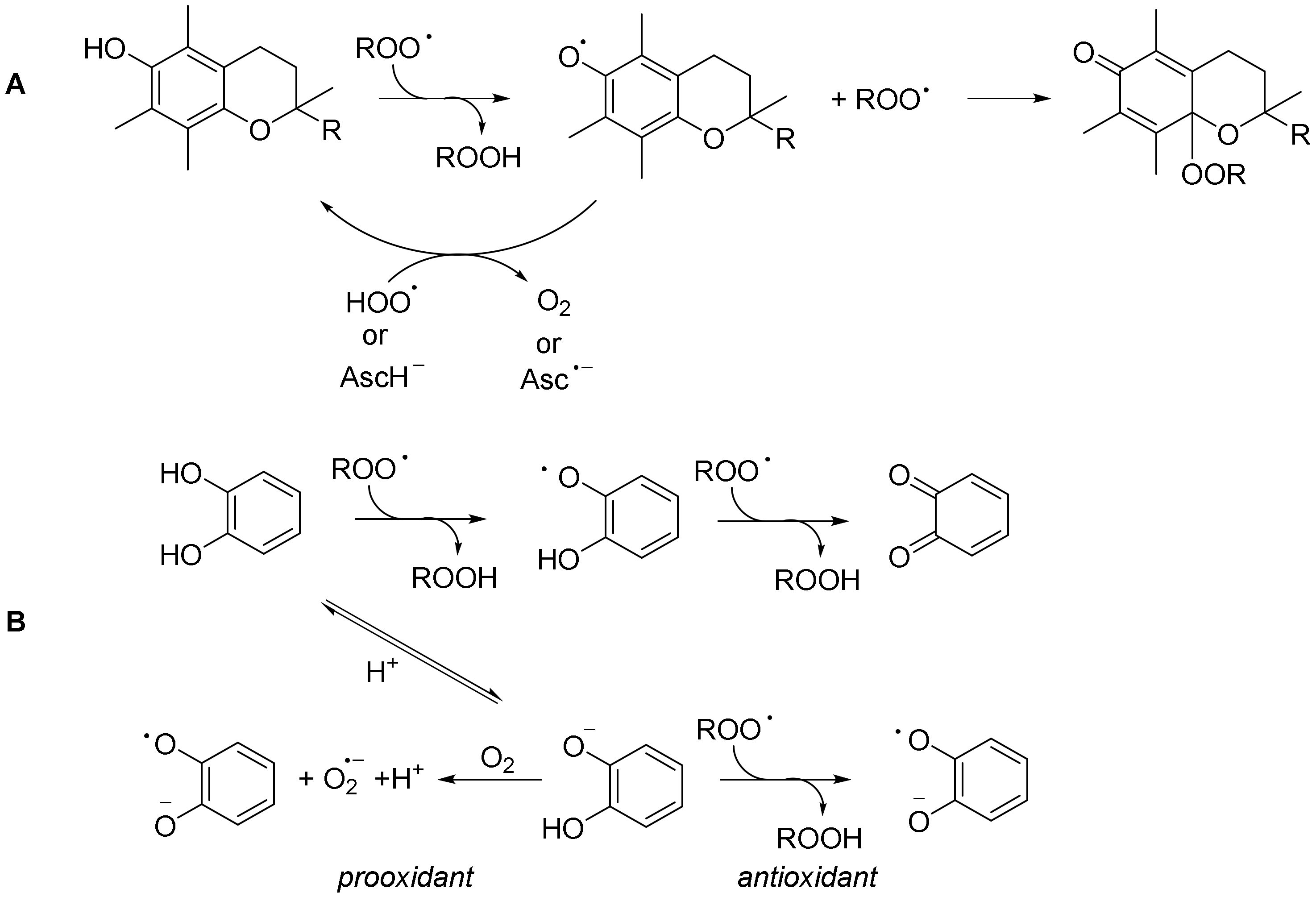 Antioxidants 10 01551 sch002