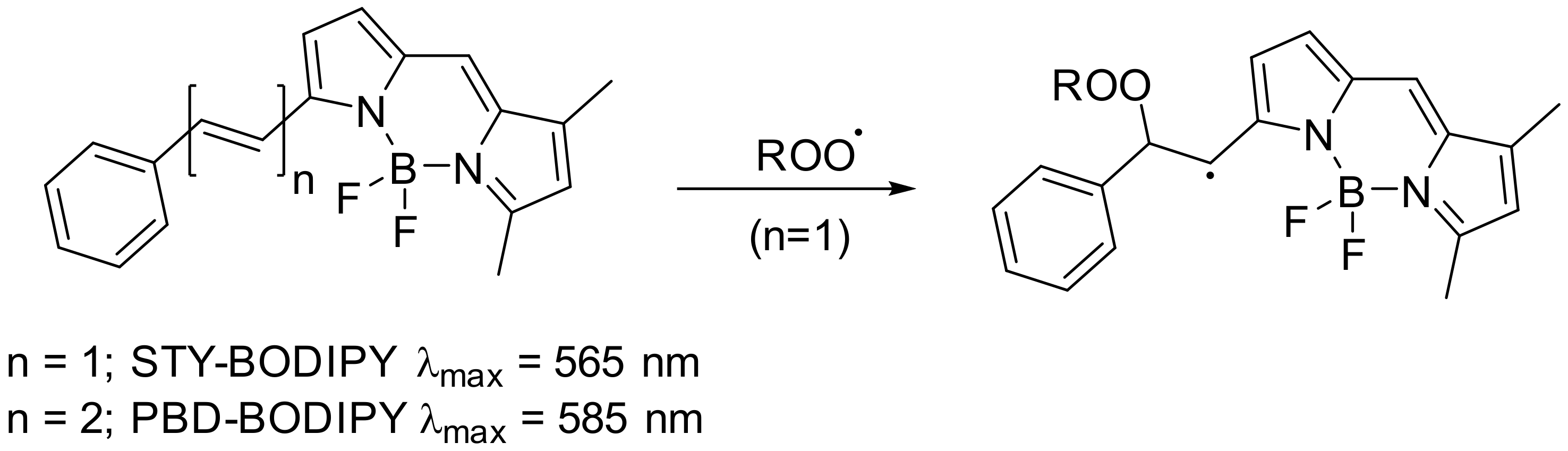 Antioxidants 10 01551 sch003