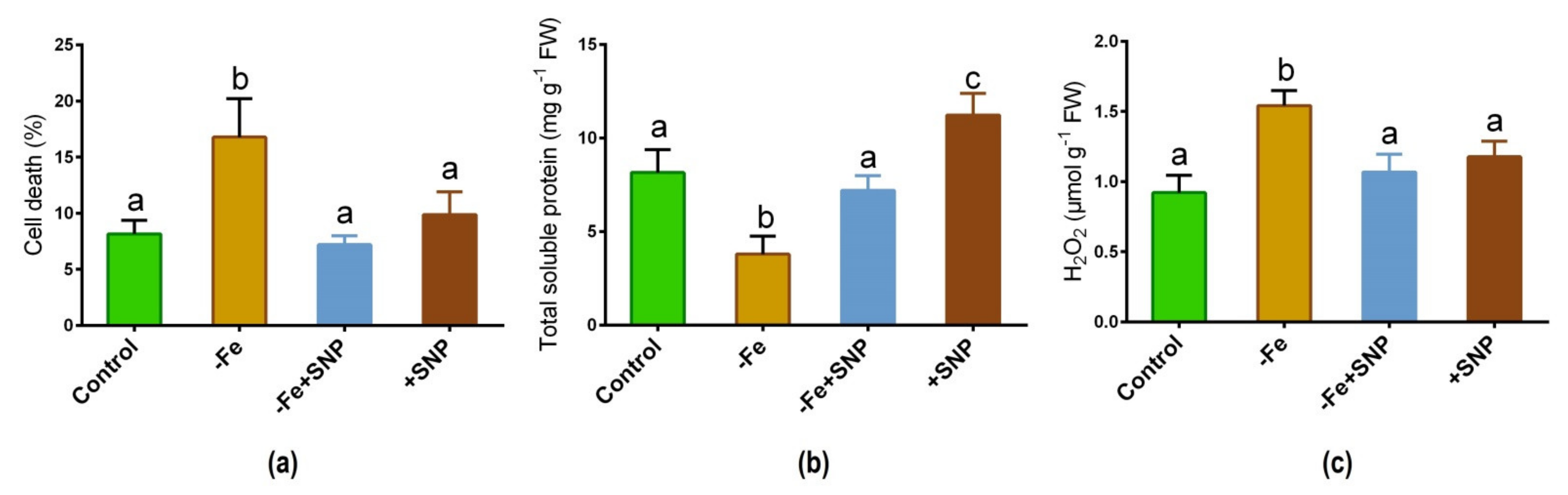 Antioxidants 10 01556 g004