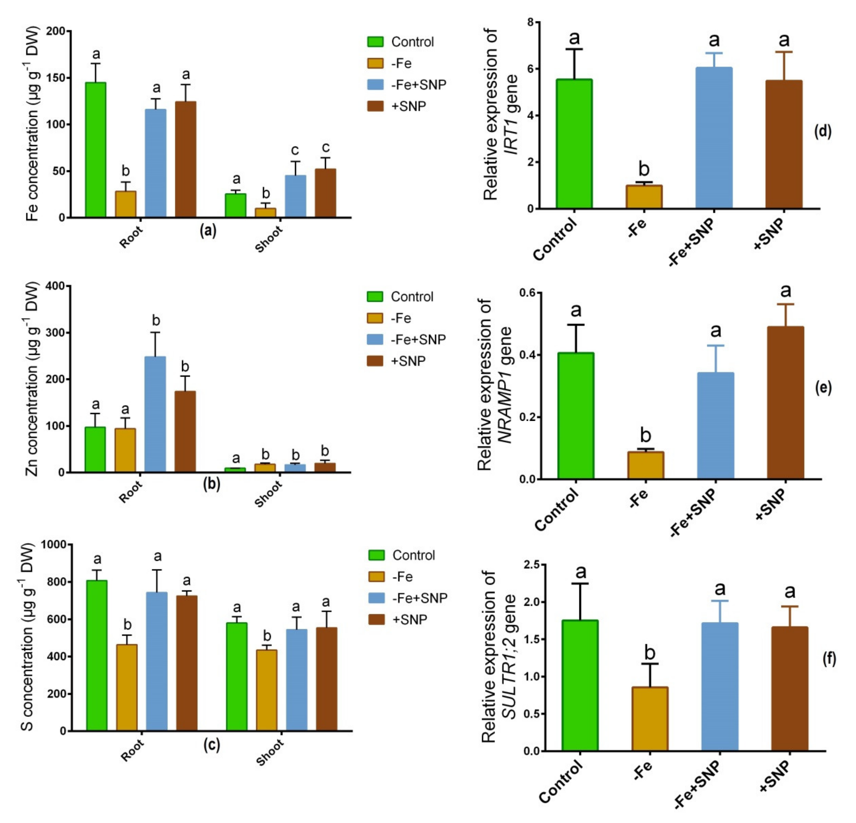 Antioxidants 10 01556 g006