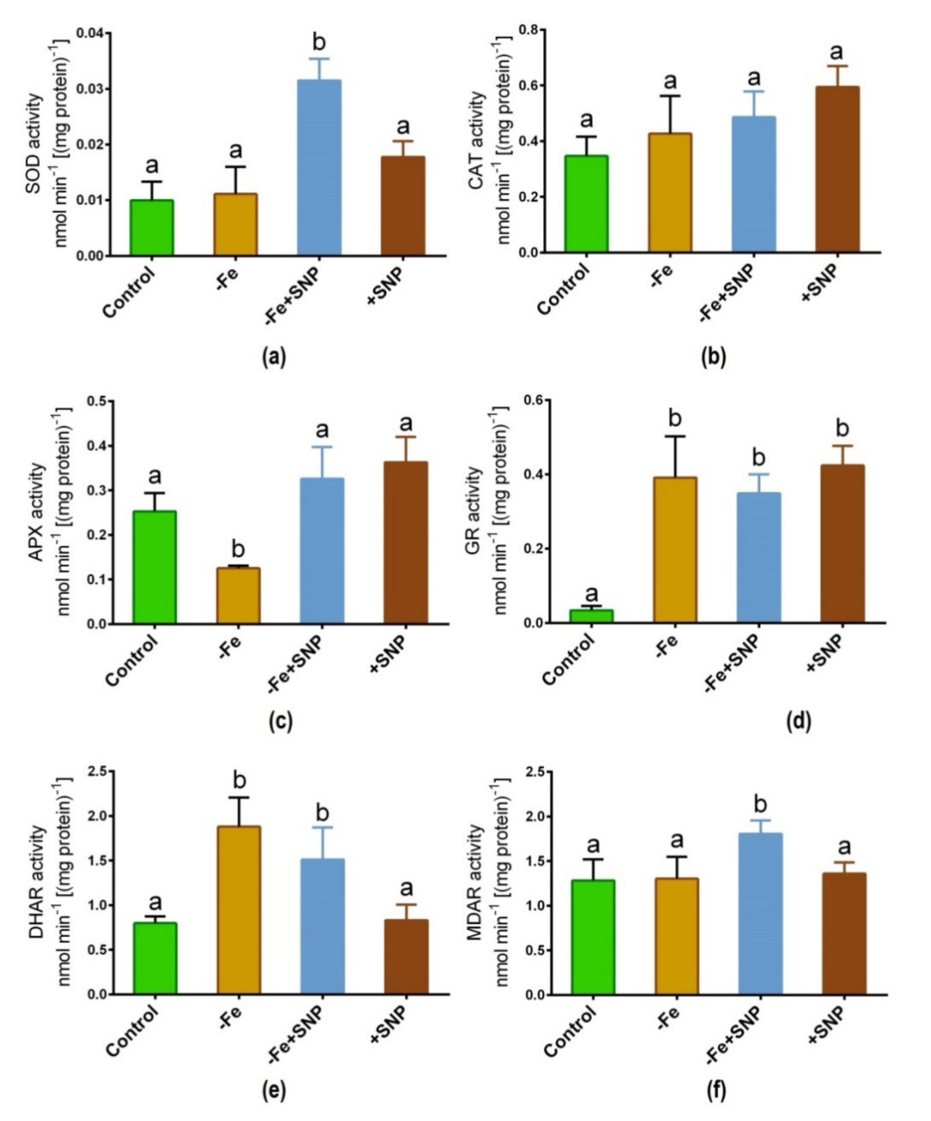 Antioxidants 10 01556 g007