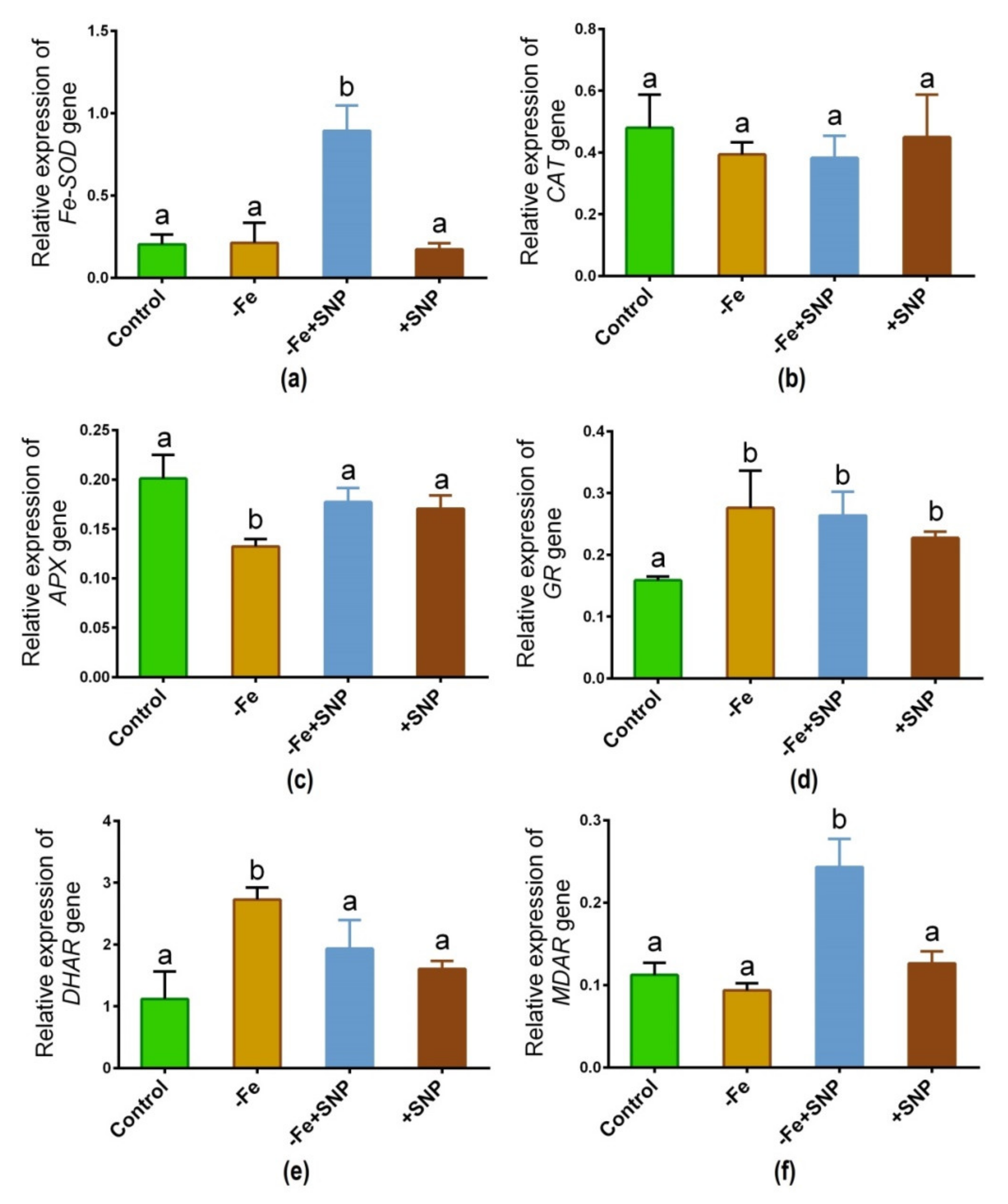 Antioxidants 10 01556 g008