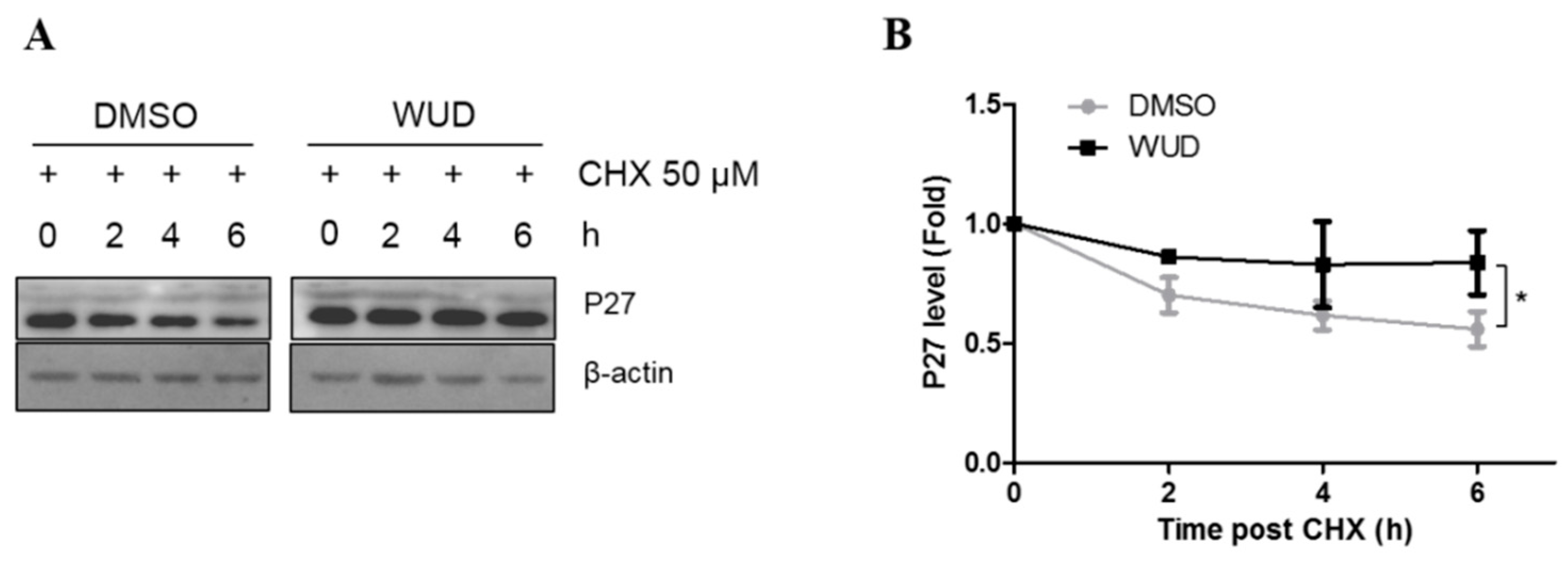 Antioxidants 10 01559 g004
