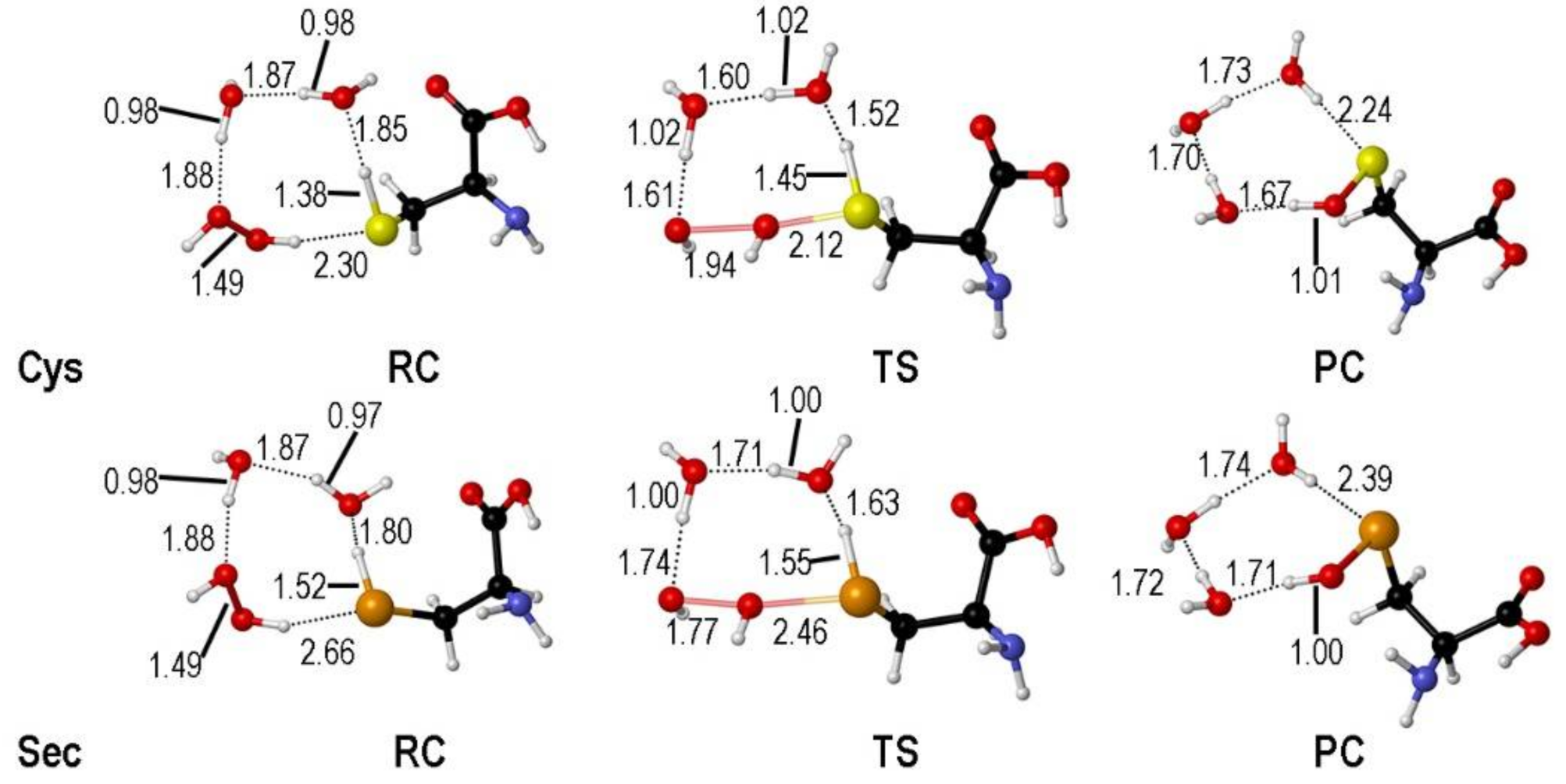 Antioxidants 10 01560 g002