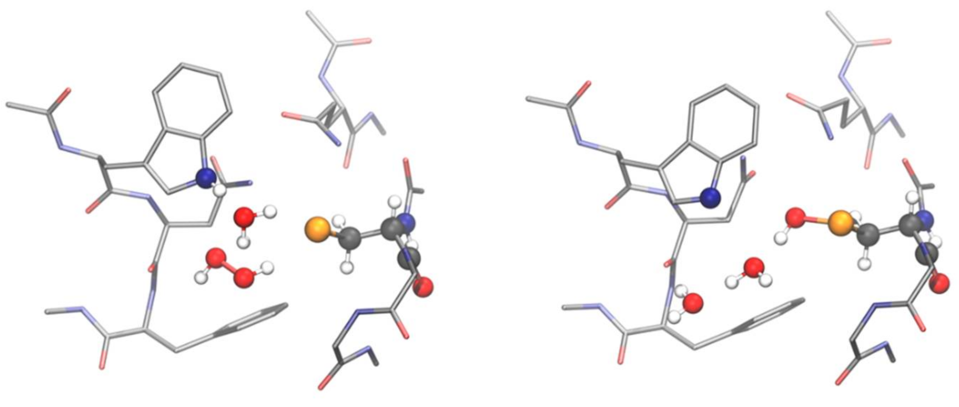 Antioxidants 10 01560 g003