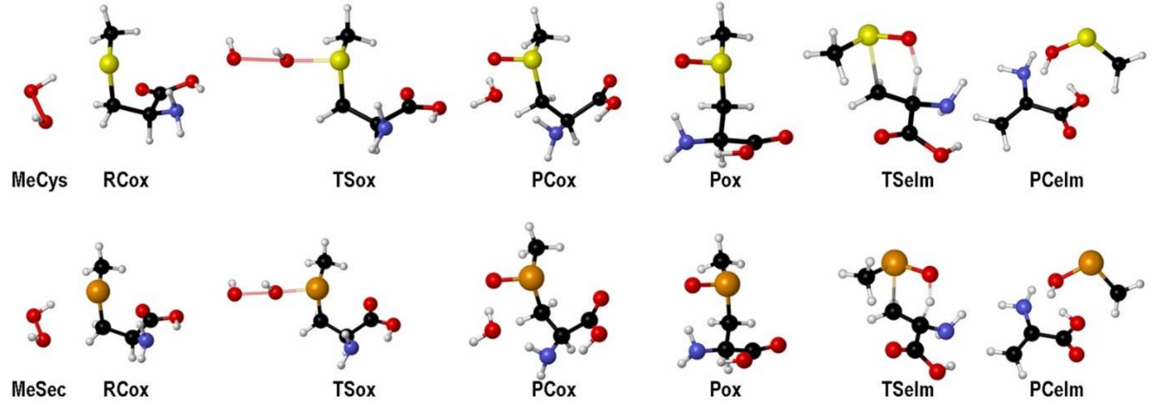 Antioxidants 10 01560 g004