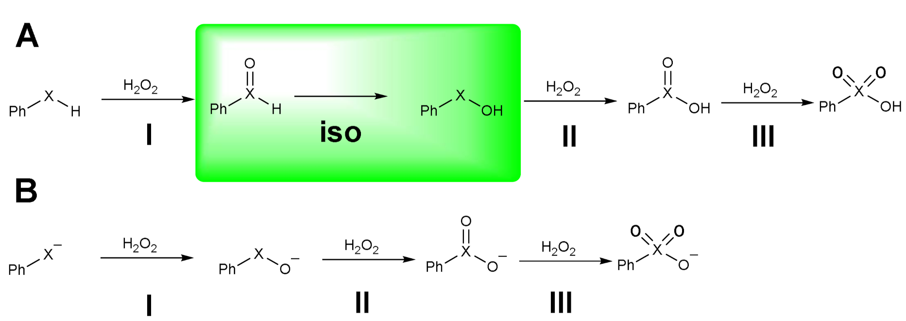 Antioxidants 10 01560 sch008