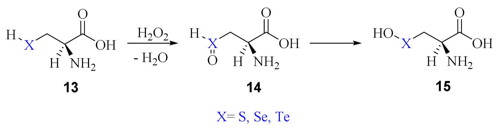 Antioxidants 10 01560 sch010