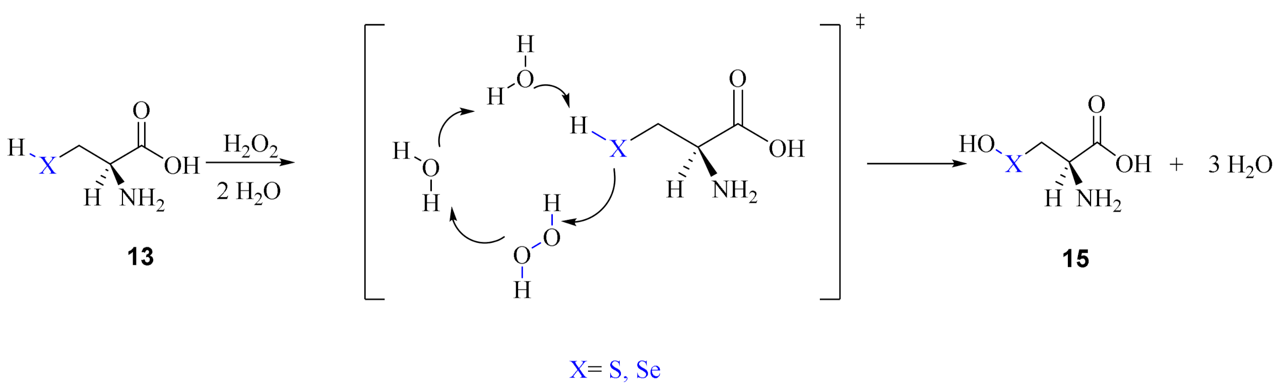 Antioxidants 10 01560 sch011