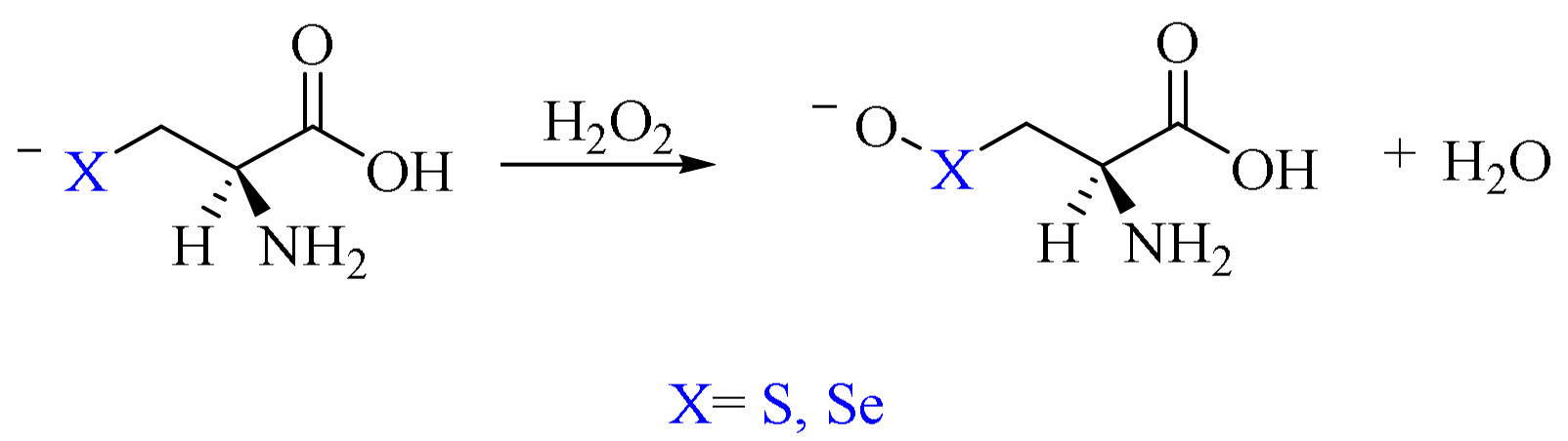 Antioxidants 10 01560 sch012