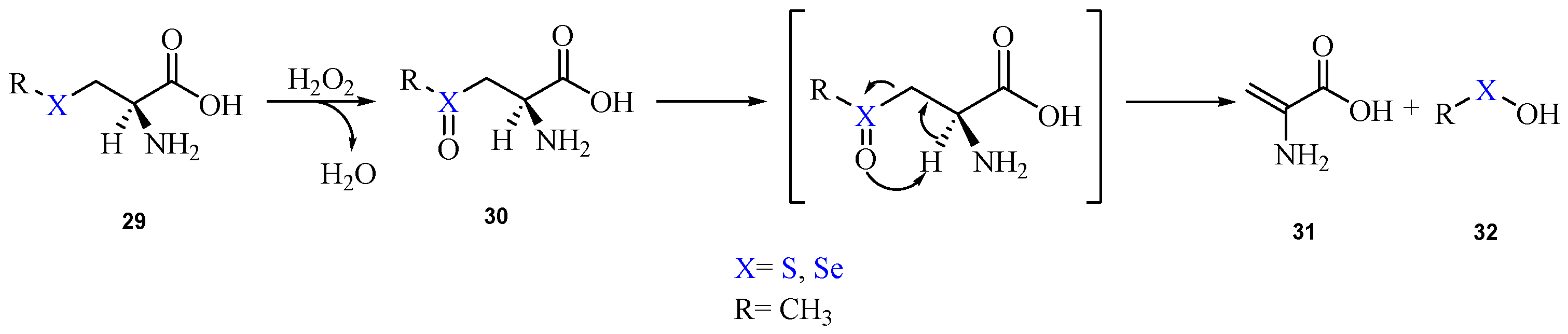 Antioxidants 10 01560 sch015