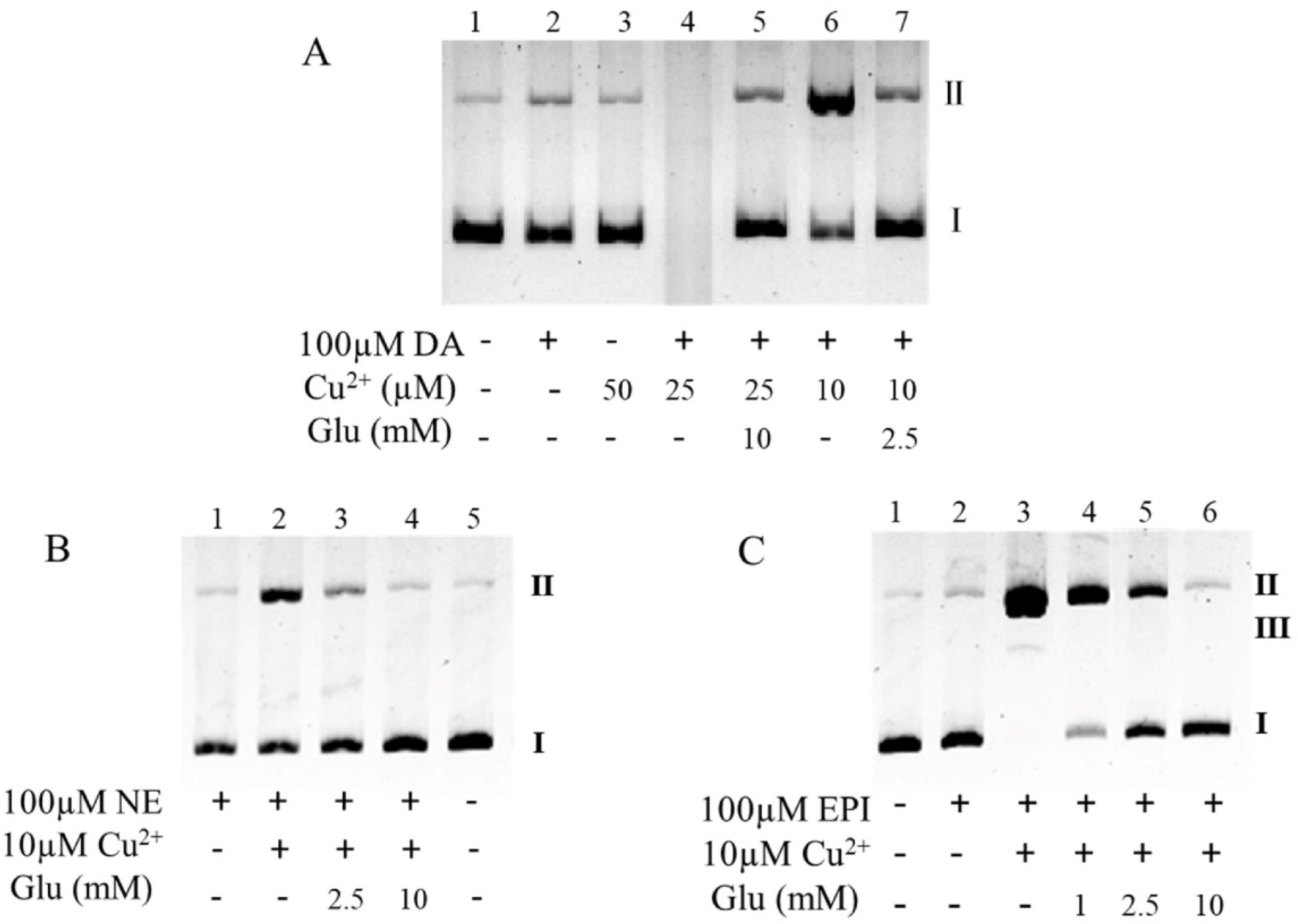 Antioxidants 10 01564 g004