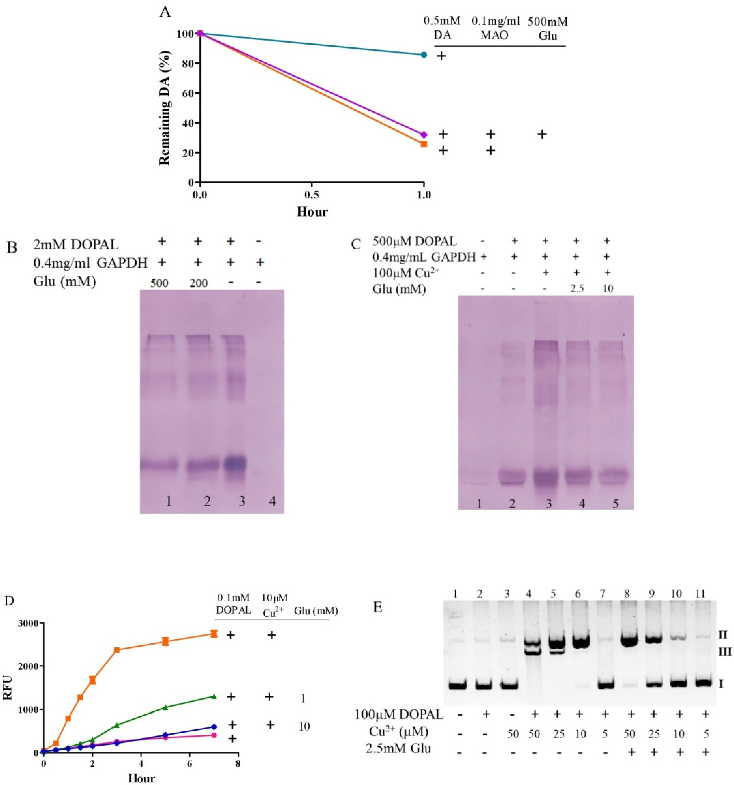 Antioxidants 10 01564 g006