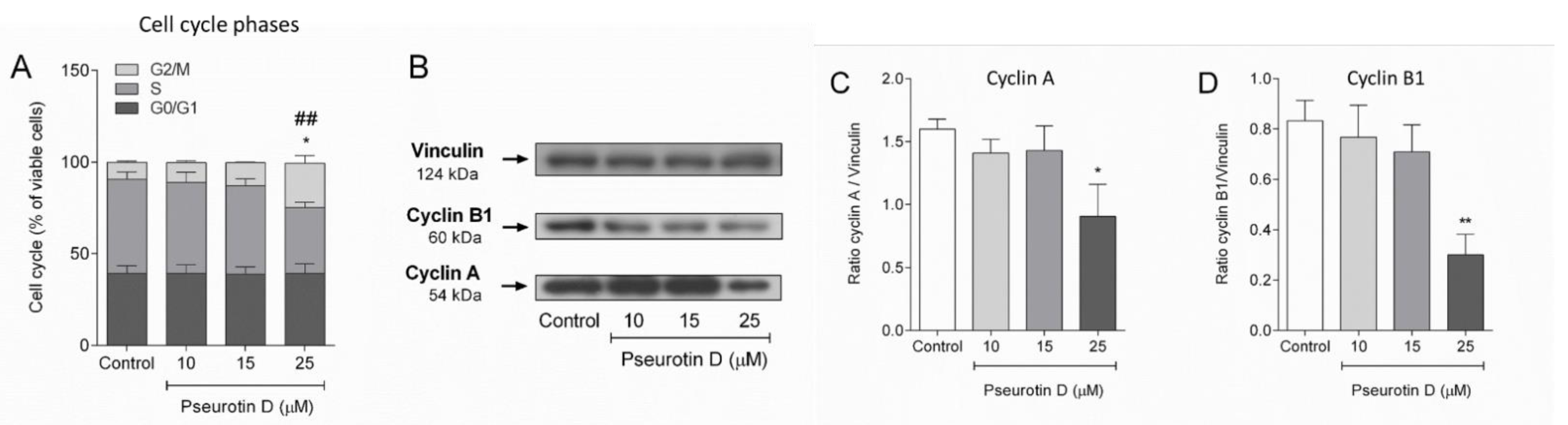 Antioxidants 10 01576 g003
