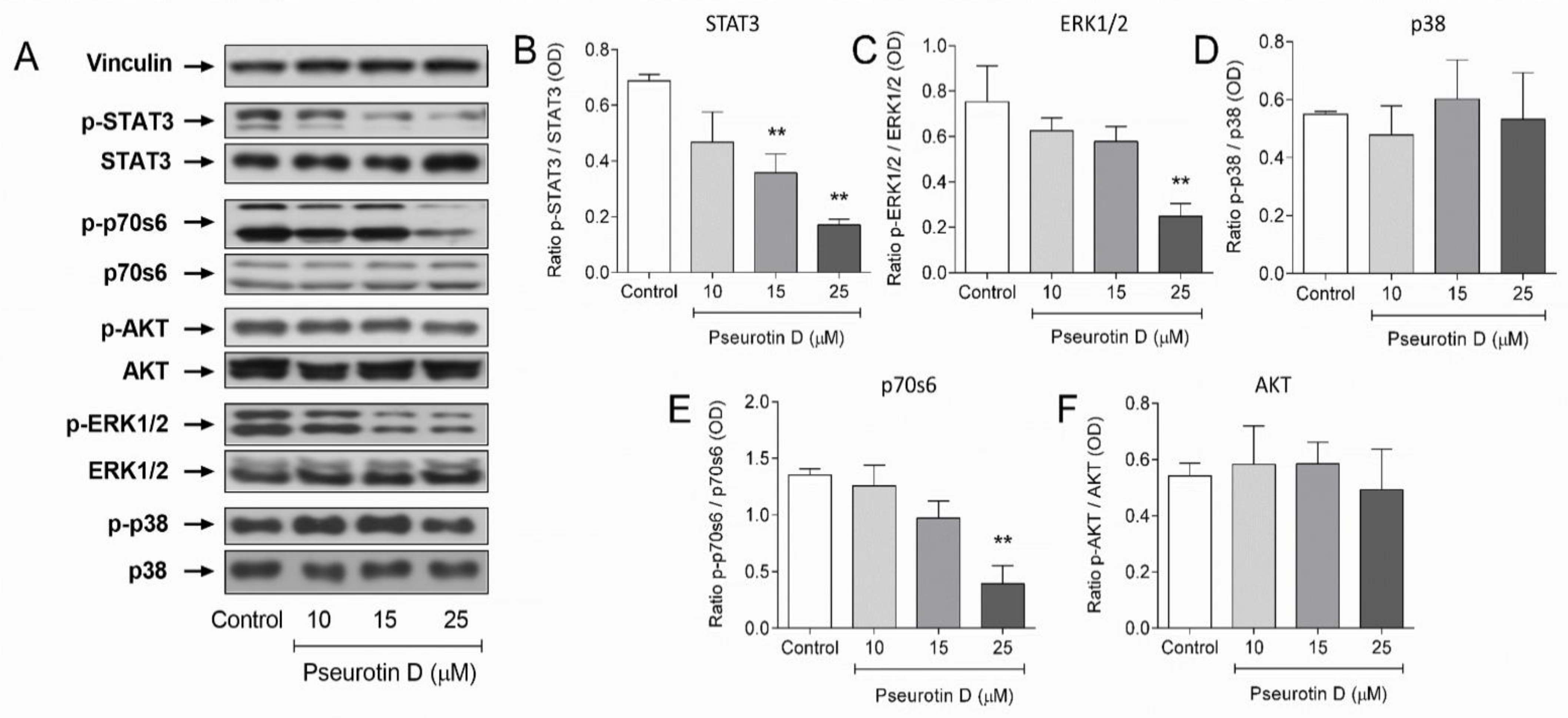 Antioxidants 10 01576 g007