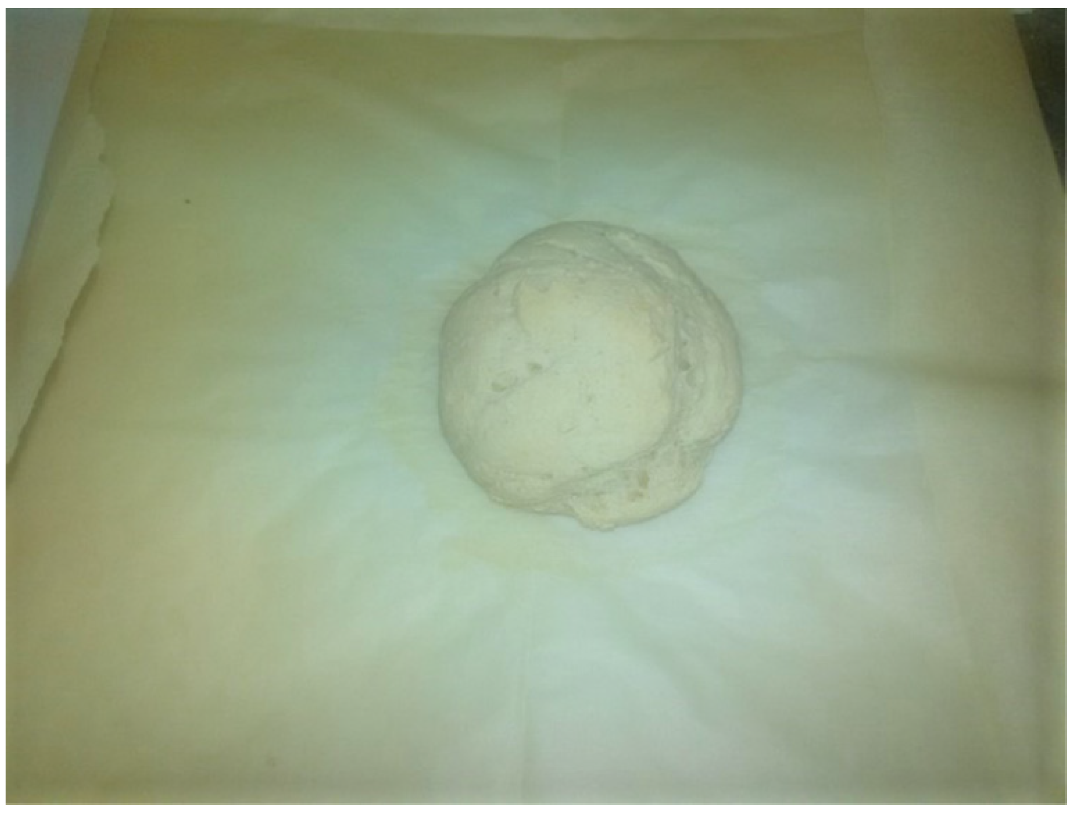 Antioxidants 10 01619 g003