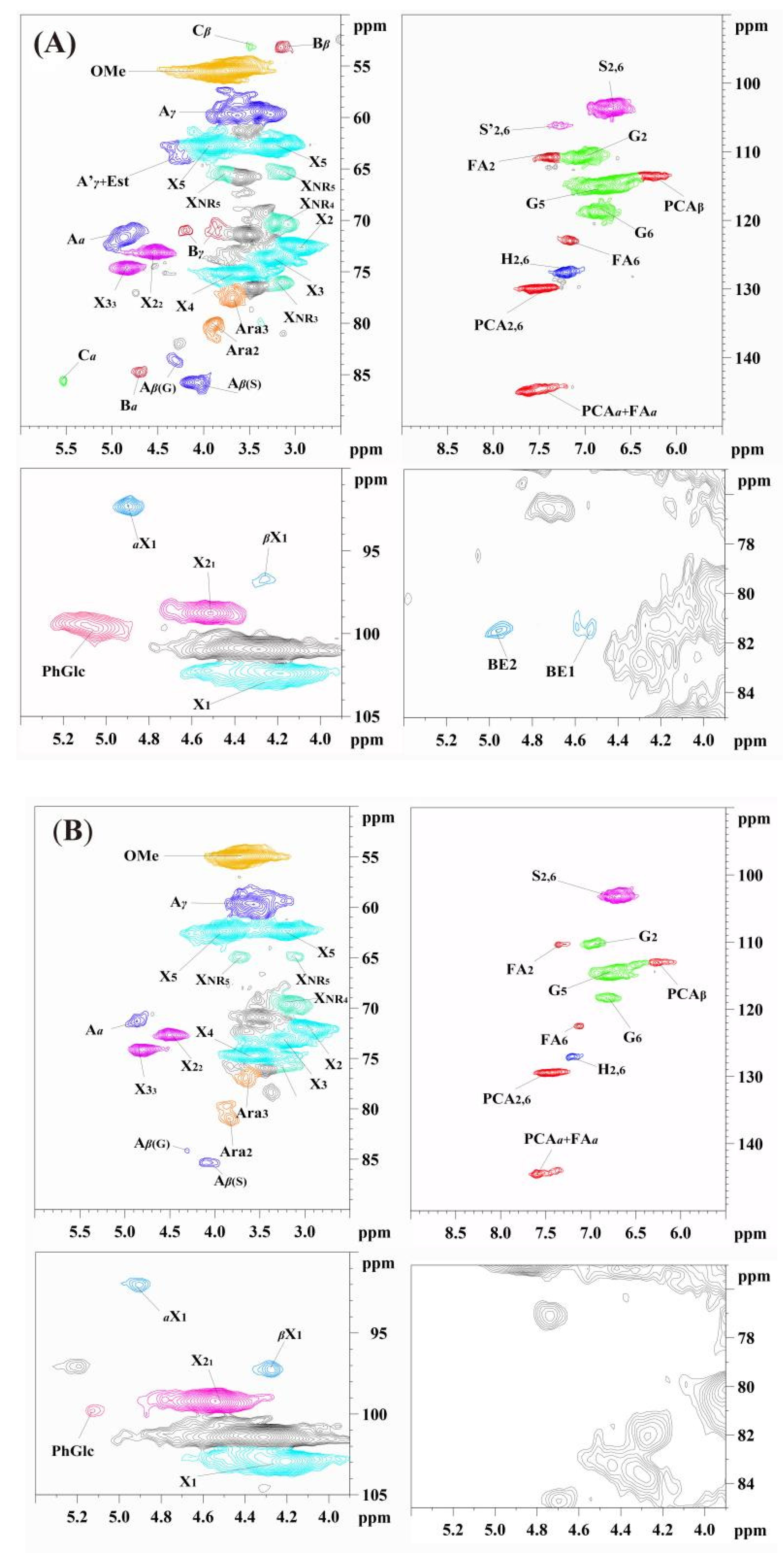 Antioxidants 10 01640 g001