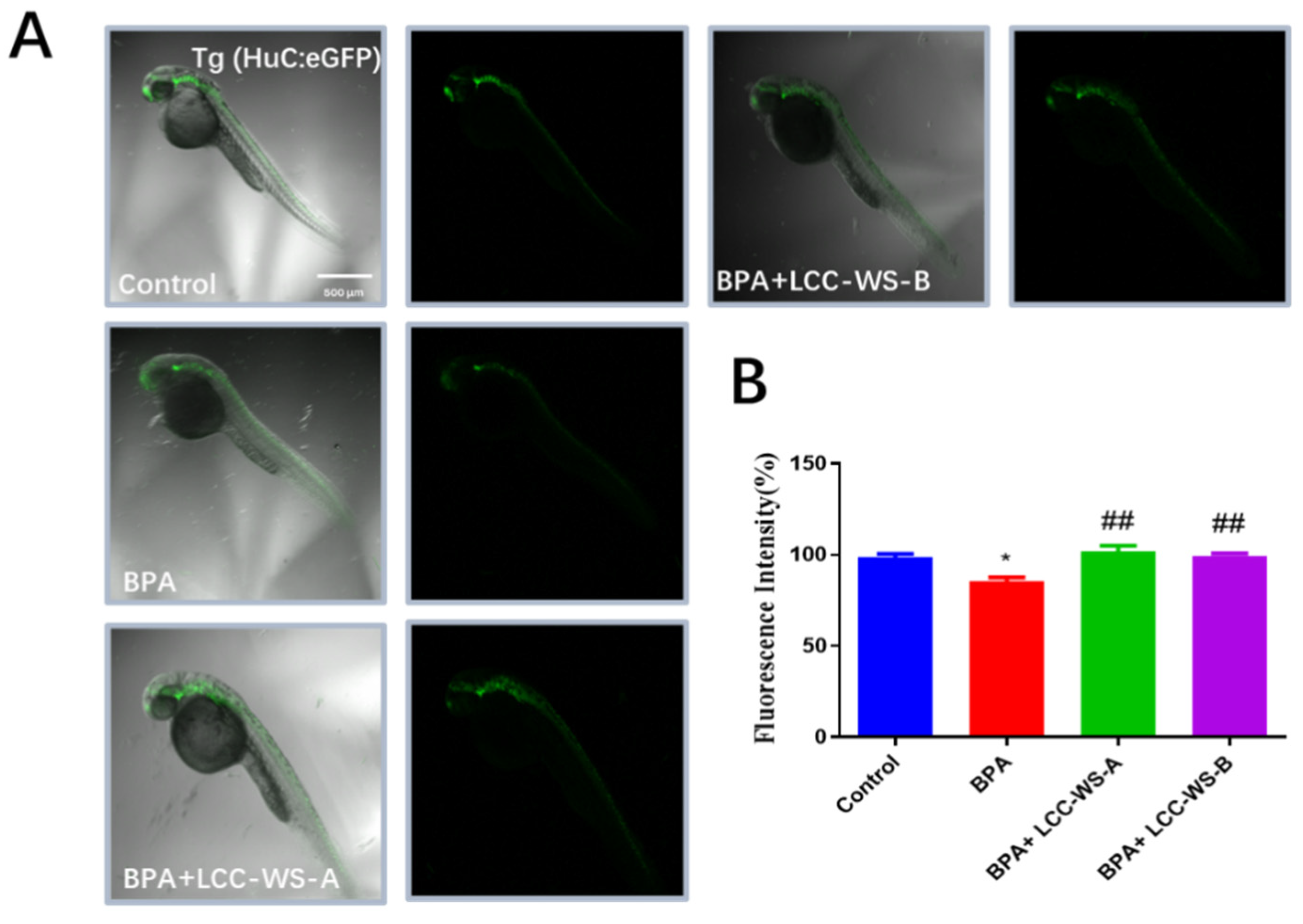 Antioxidants 10 01640 g006
