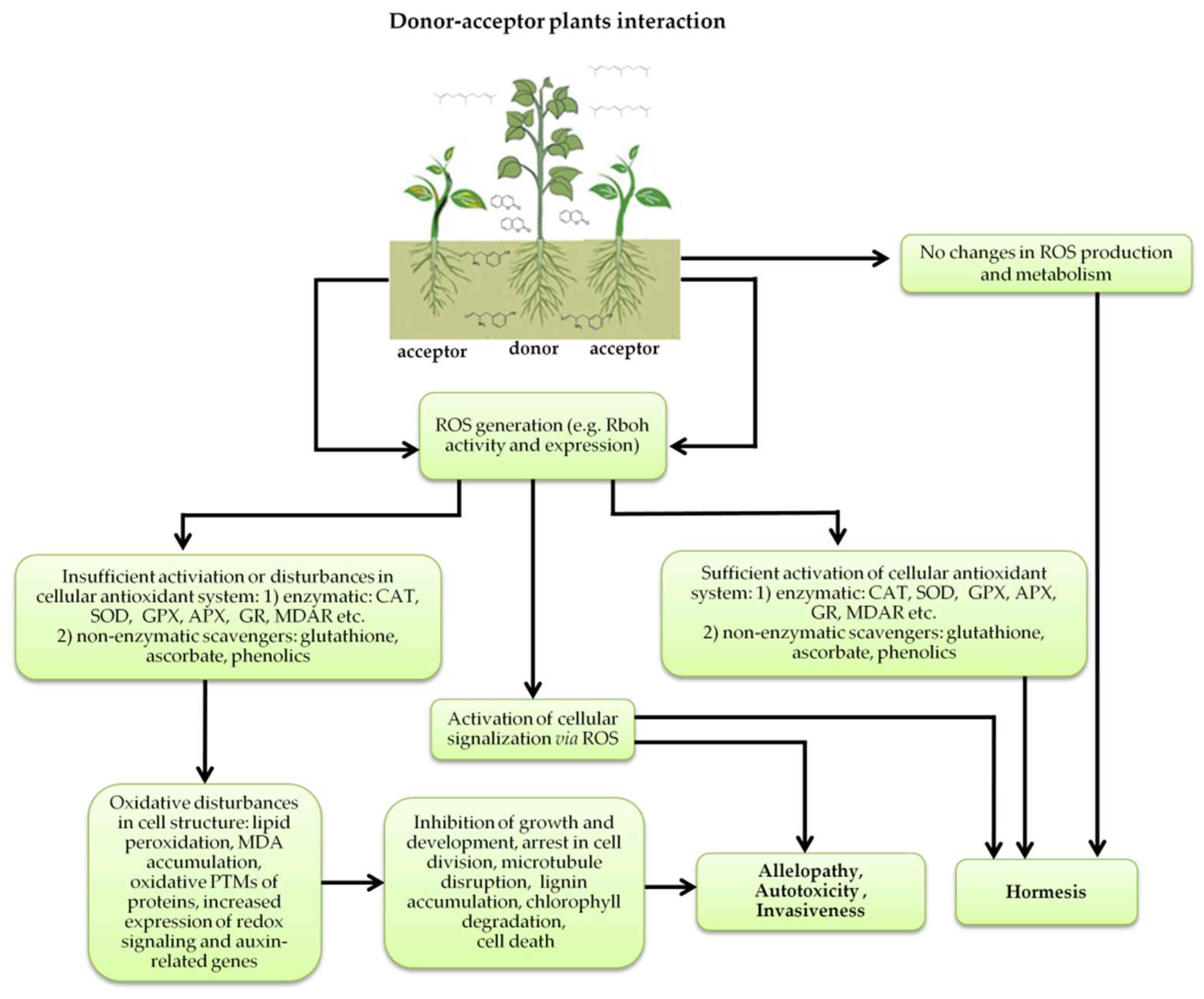 Antioxidants 10 01648 g005