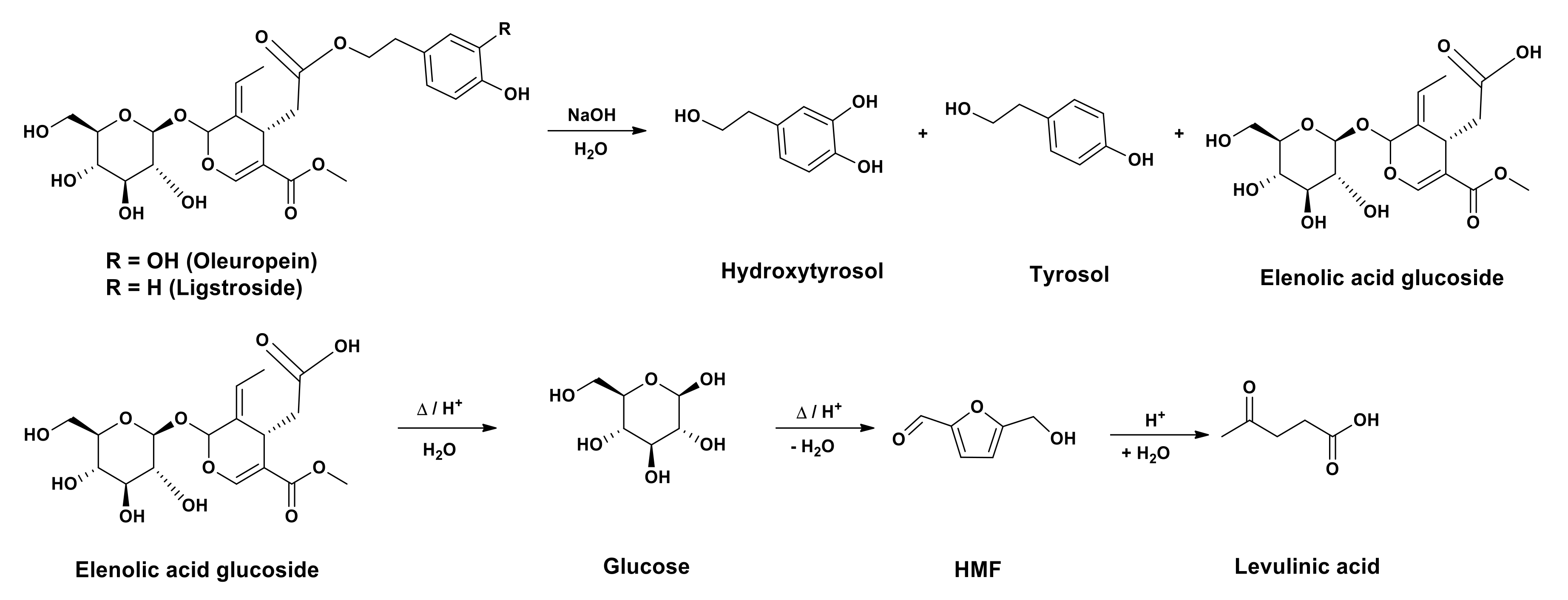 Antioxidants 10 01652 g001