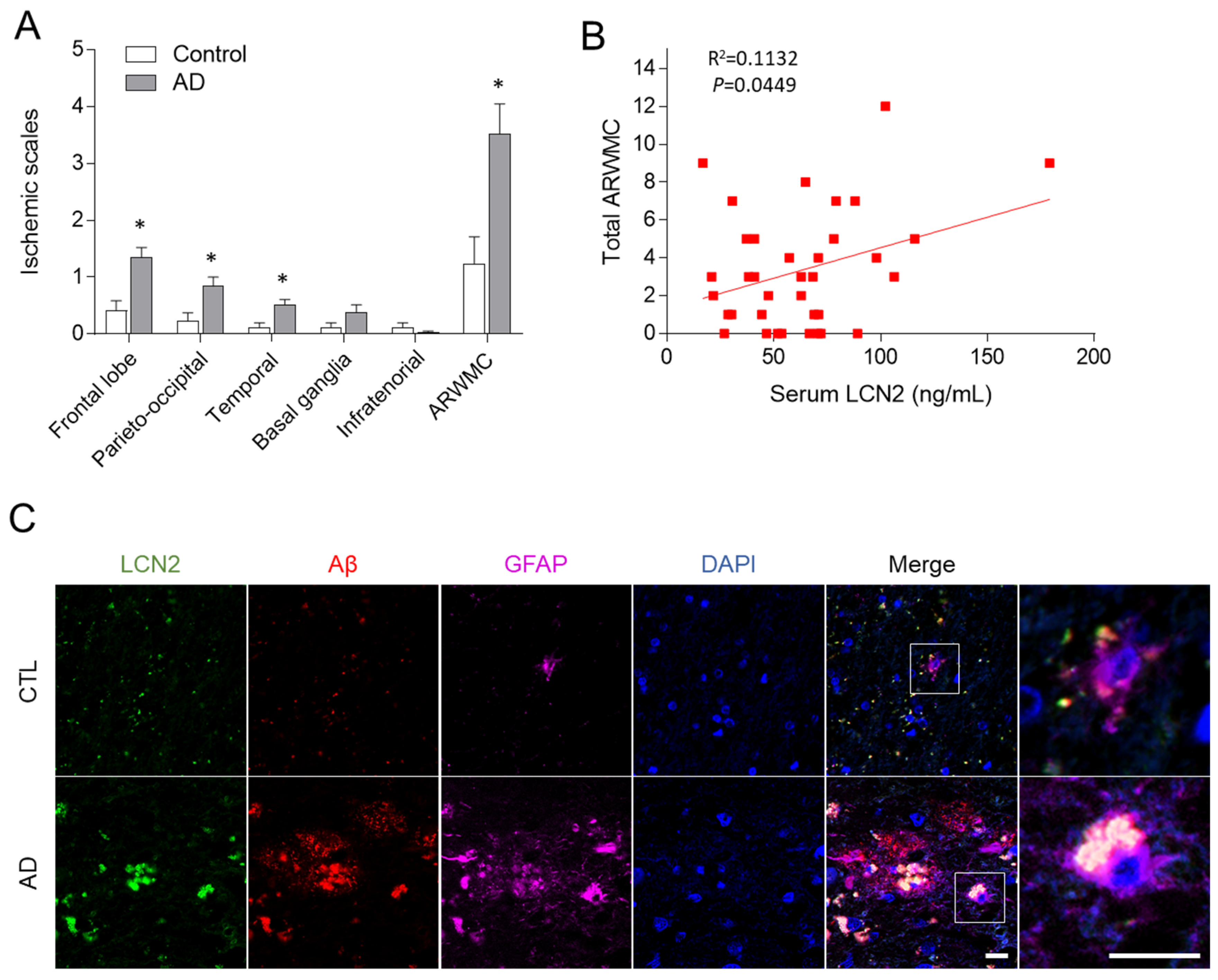 Antioxidants 10 01657 g001