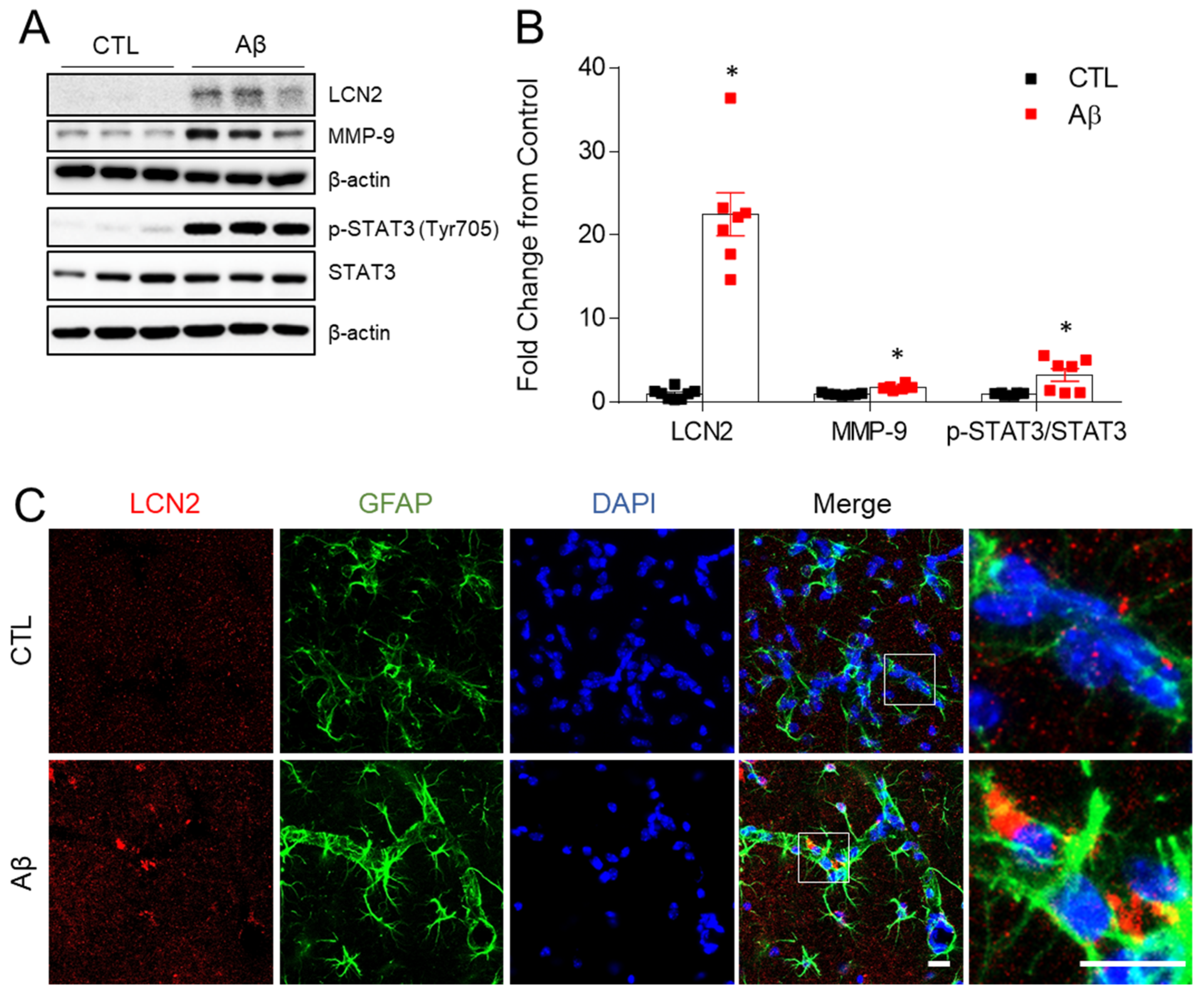 Antioxidants 10 01657 g005