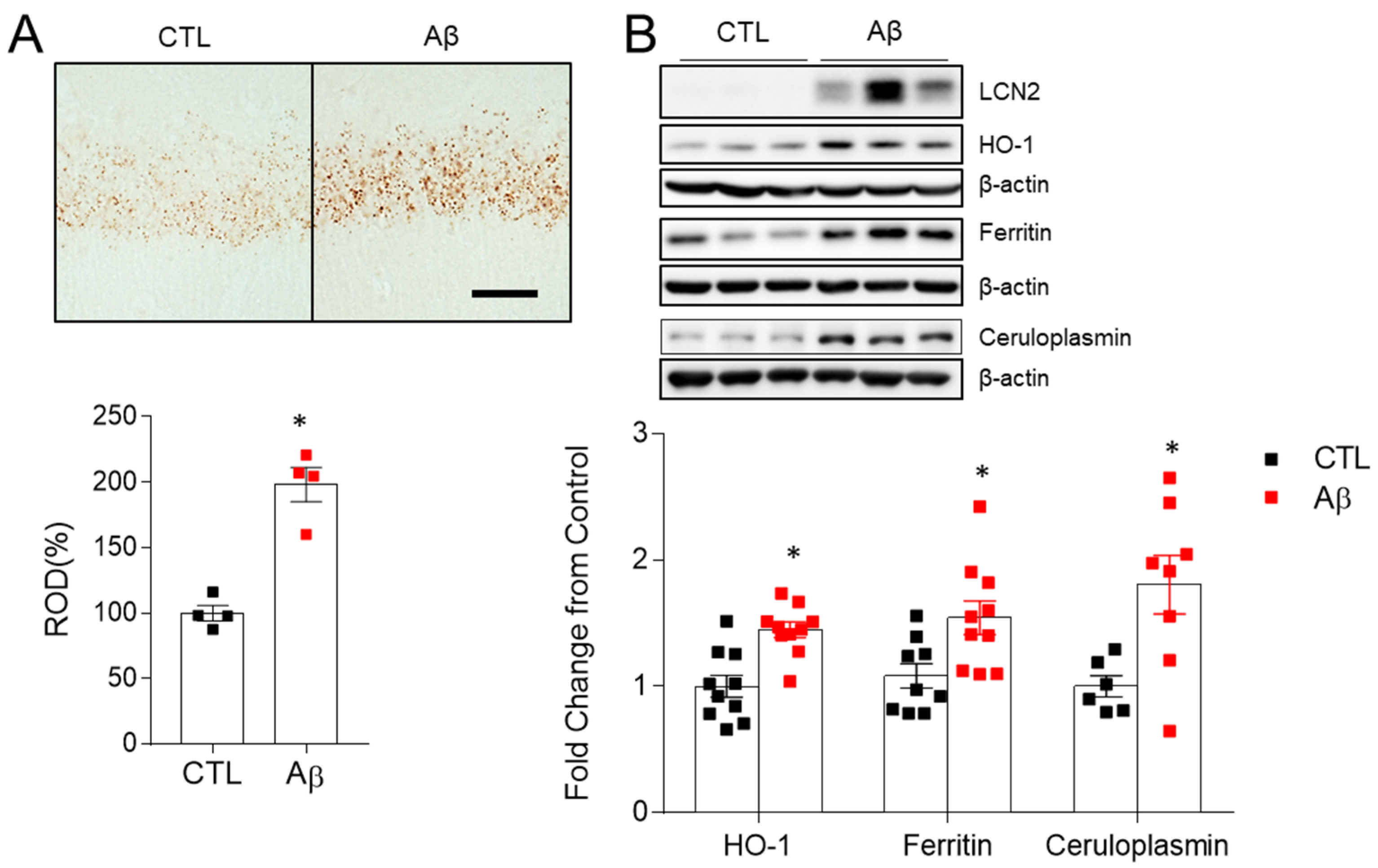 Antioxidants 10 01657 g006