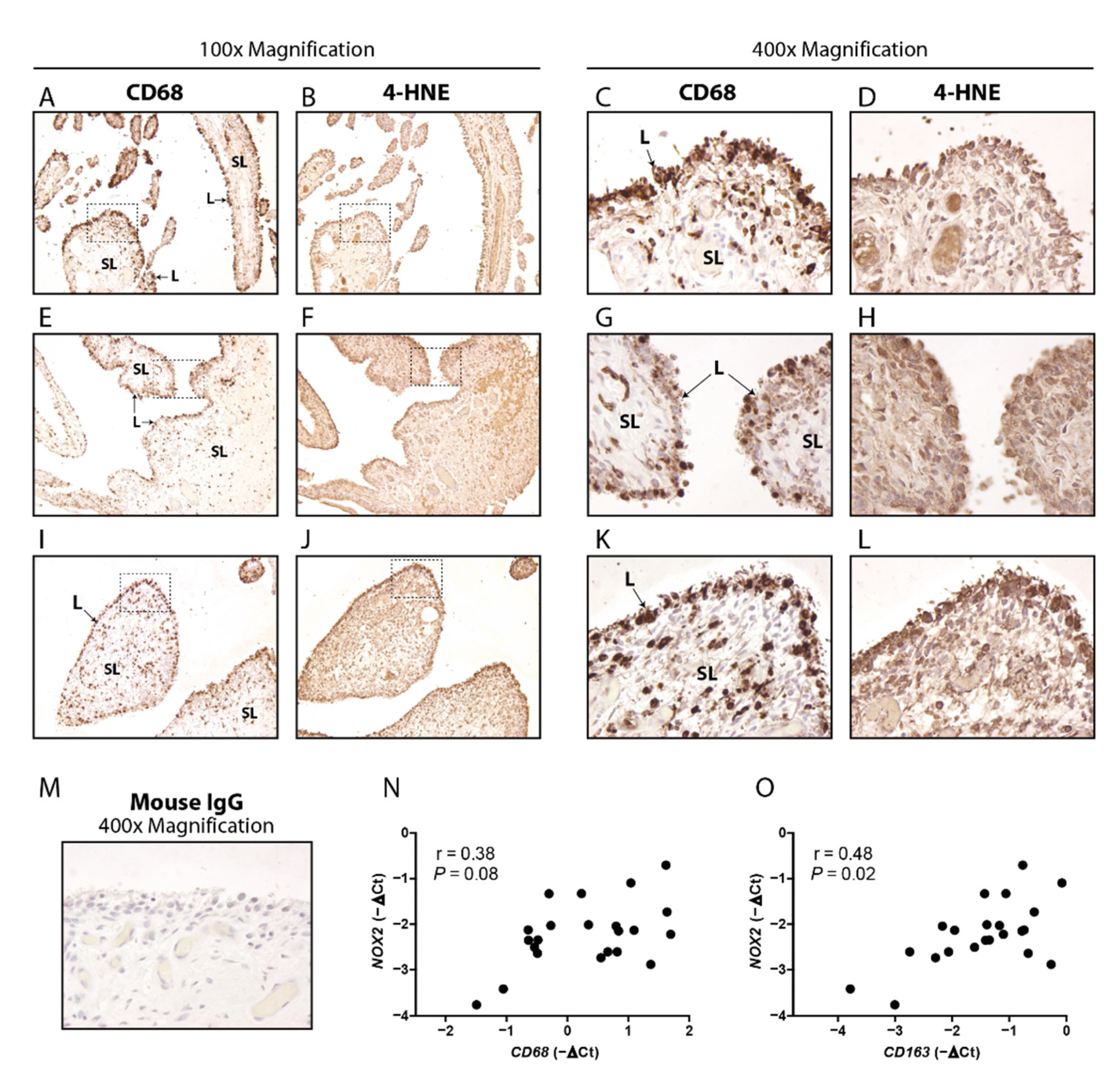 Antioxidants 10 01660 g001