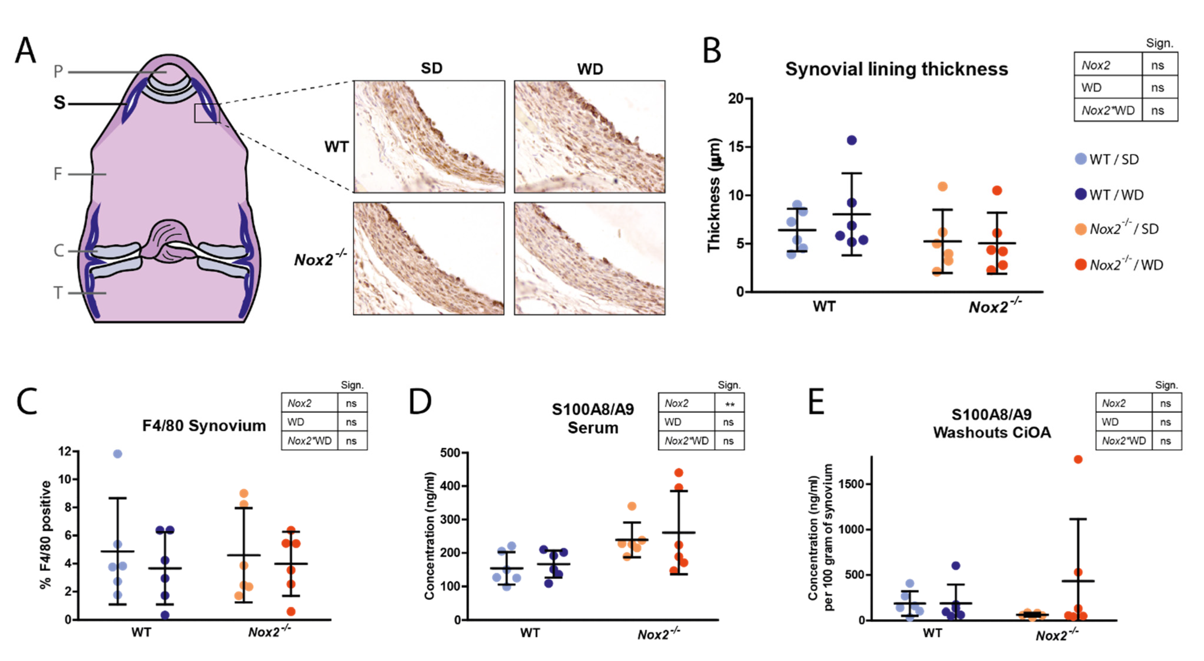 Antioxidants 10 01660 g004
