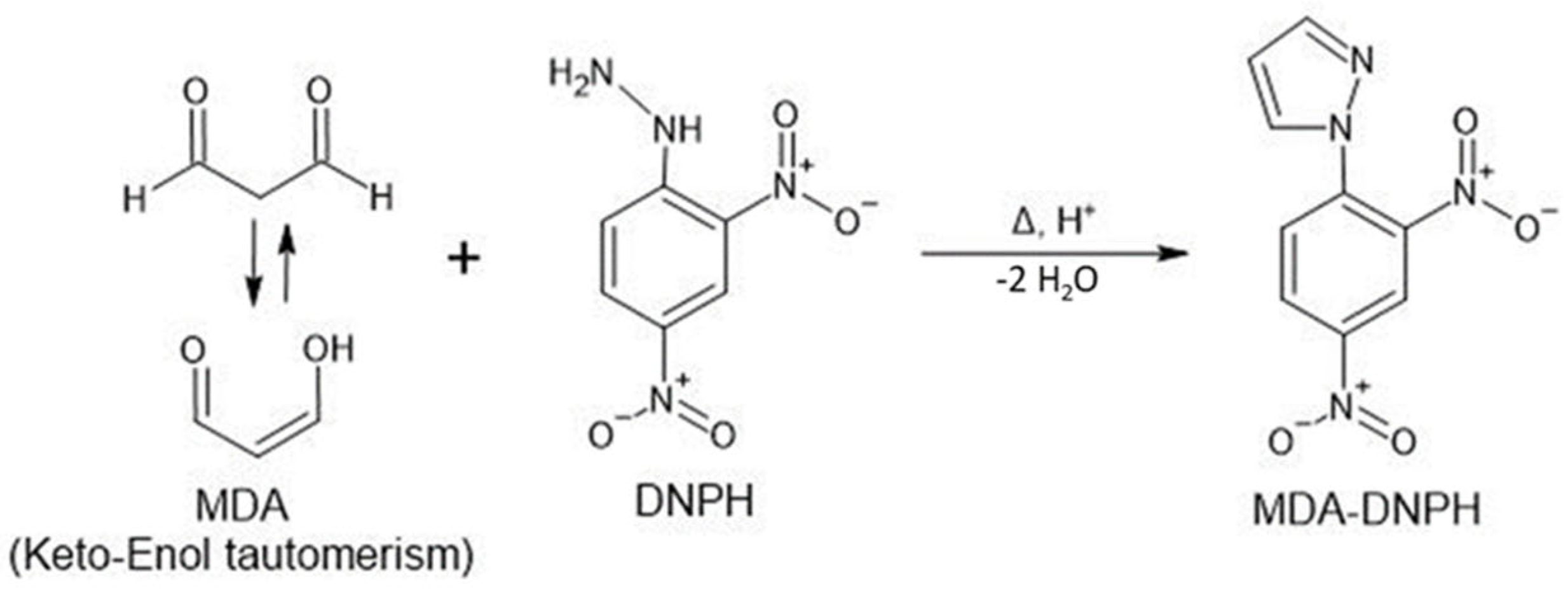 Antioxidants 10 01661 sch001