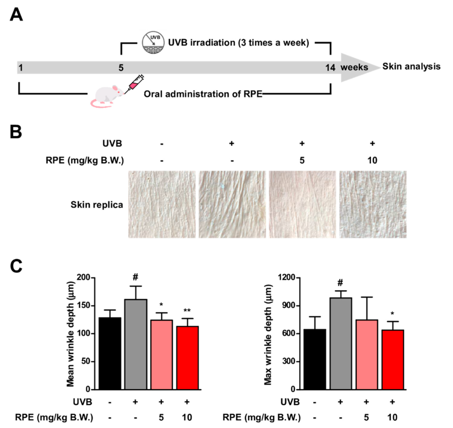 Antioxidants 10 01663 g001