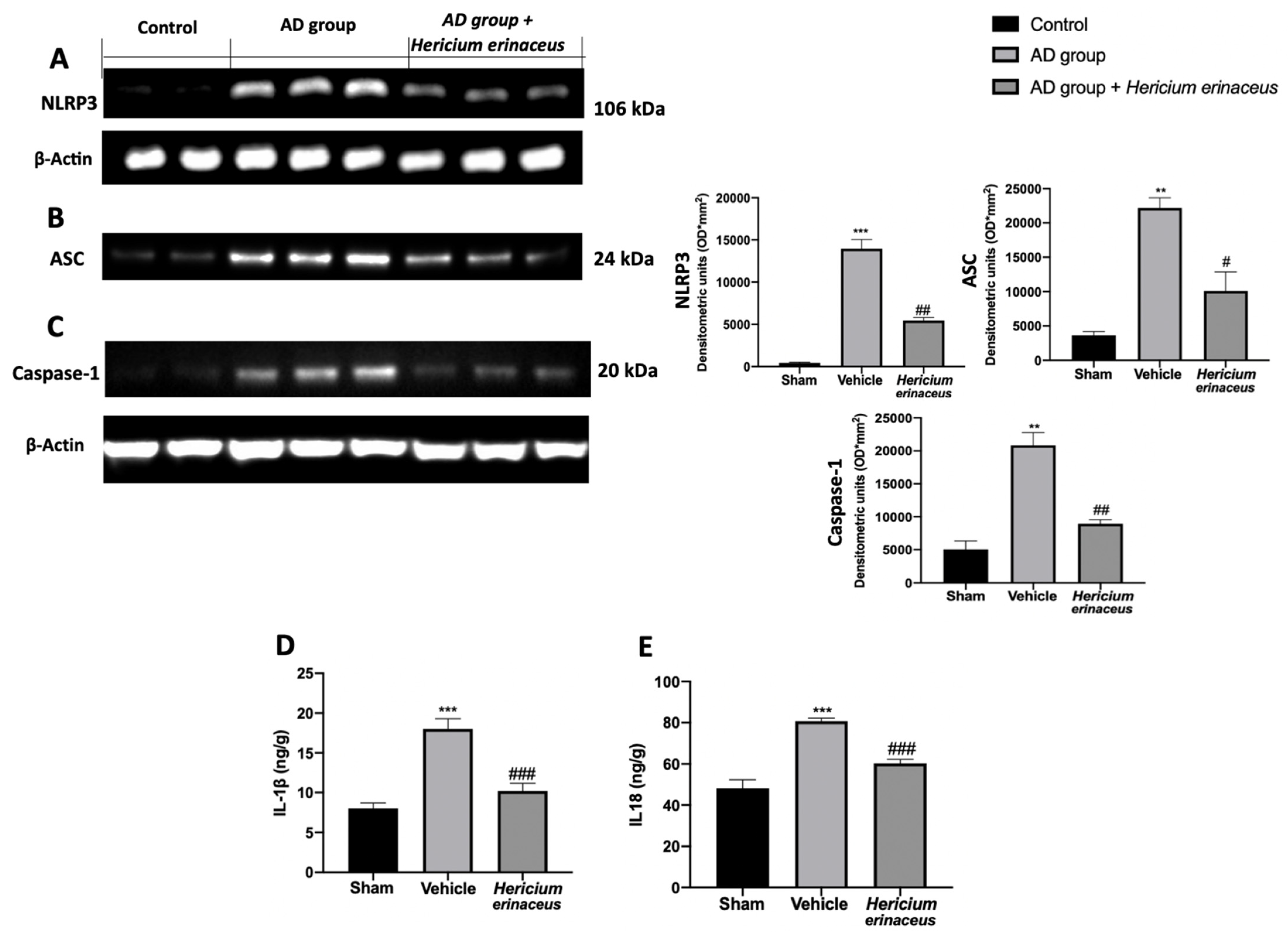 Antioxidants 10 01664 g004