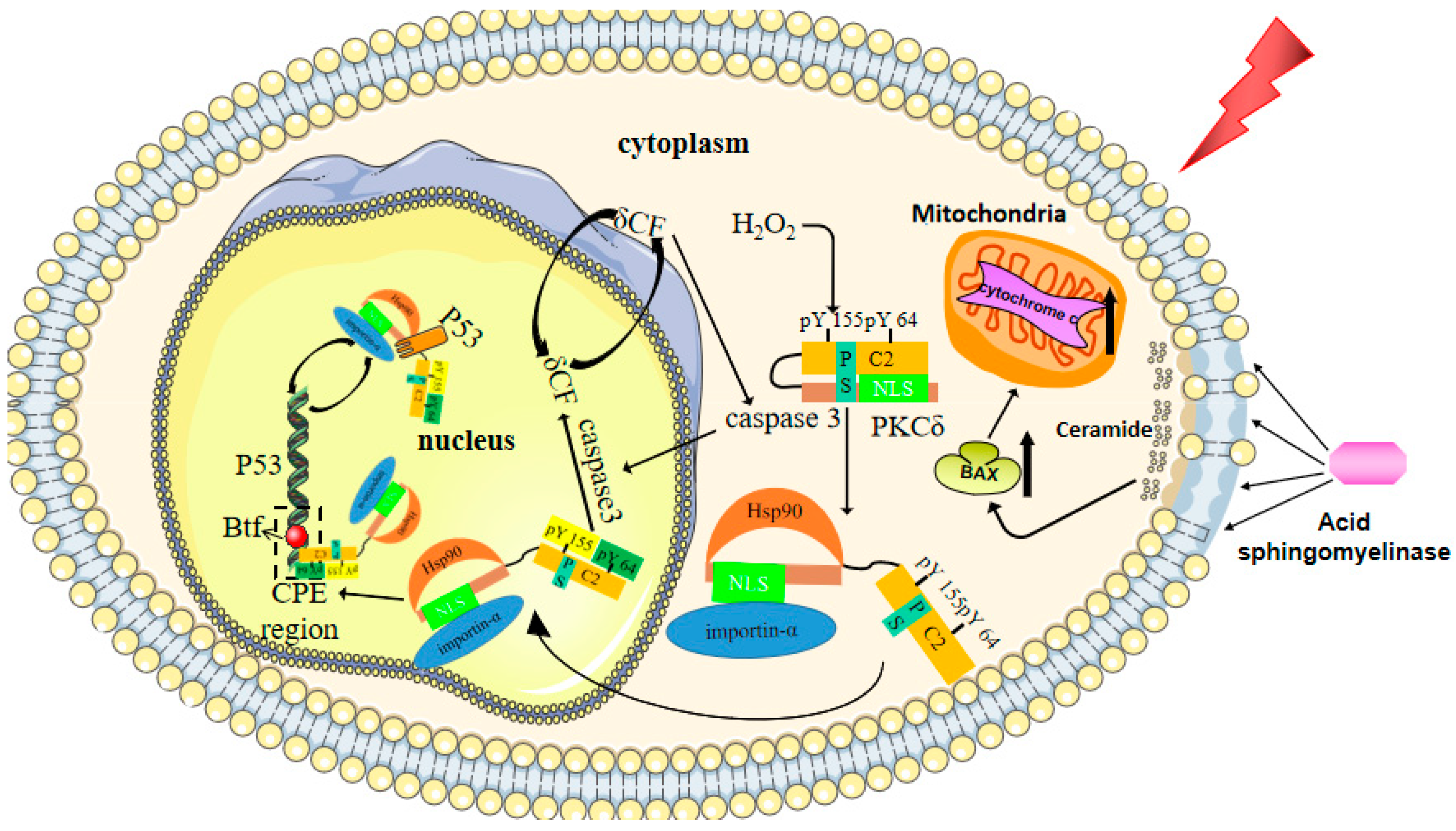 Antioxidants 10 01666 g002