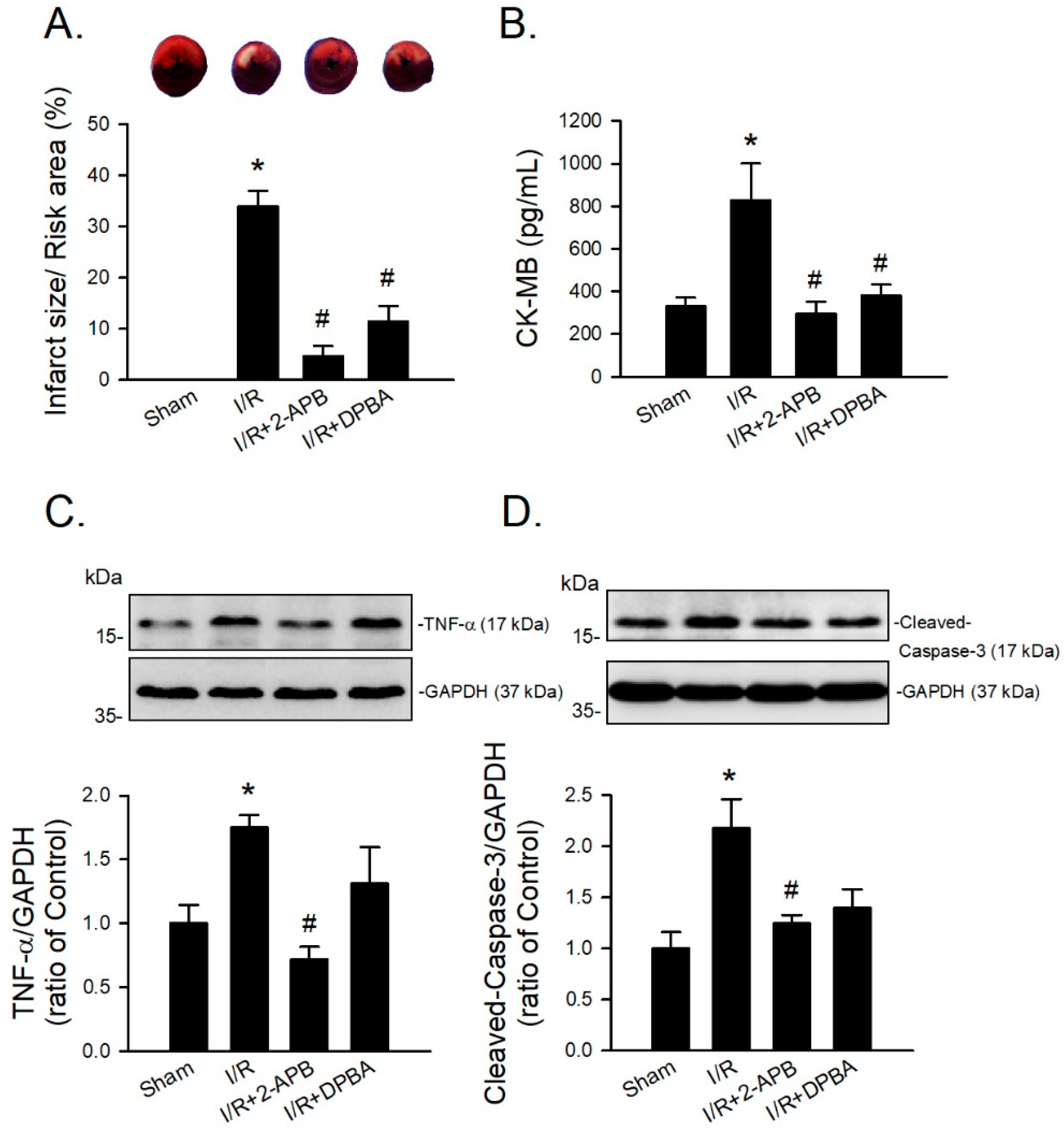 Antioxidants 10 01667 g007