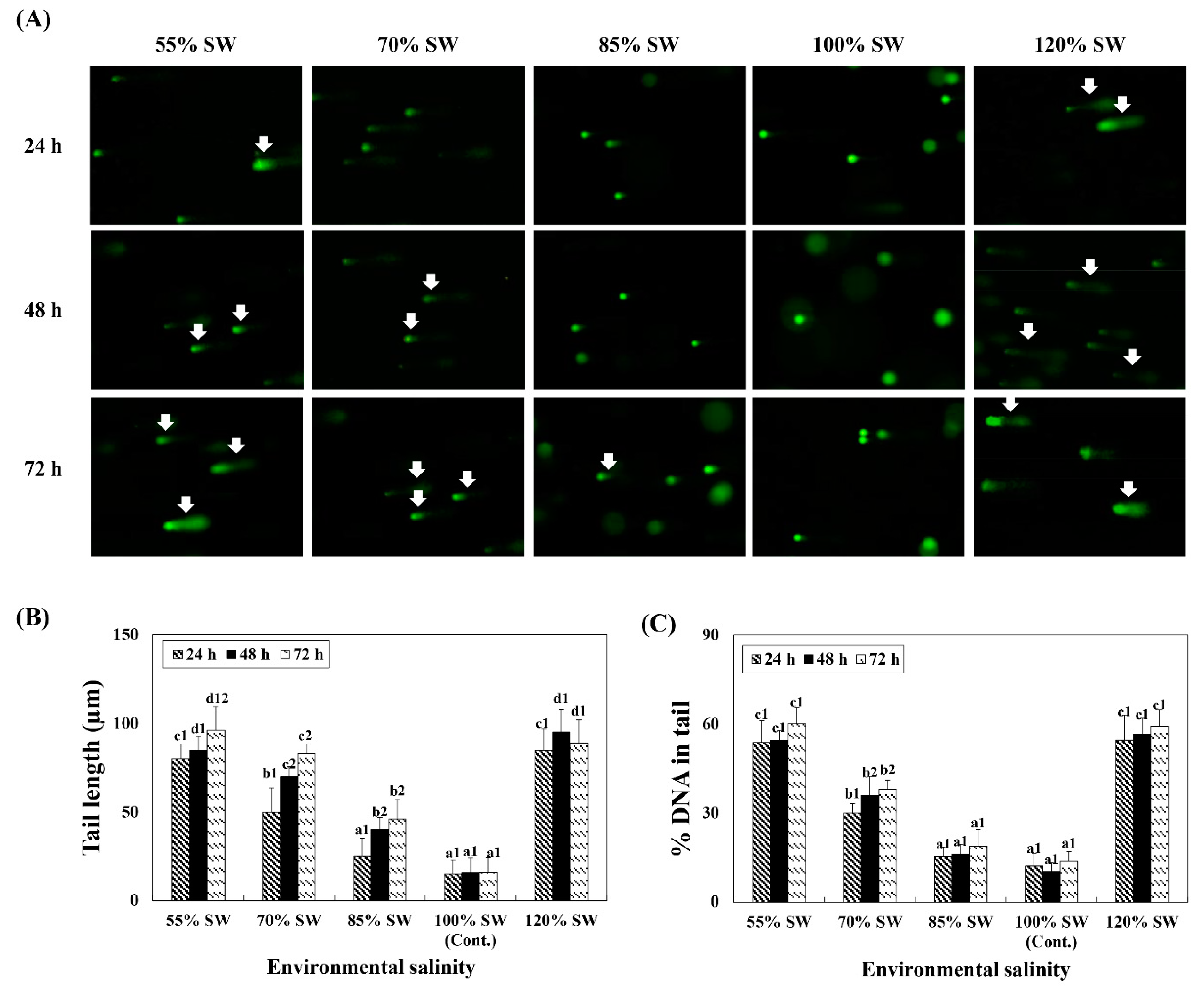 Antioxidants 10 01673 g005