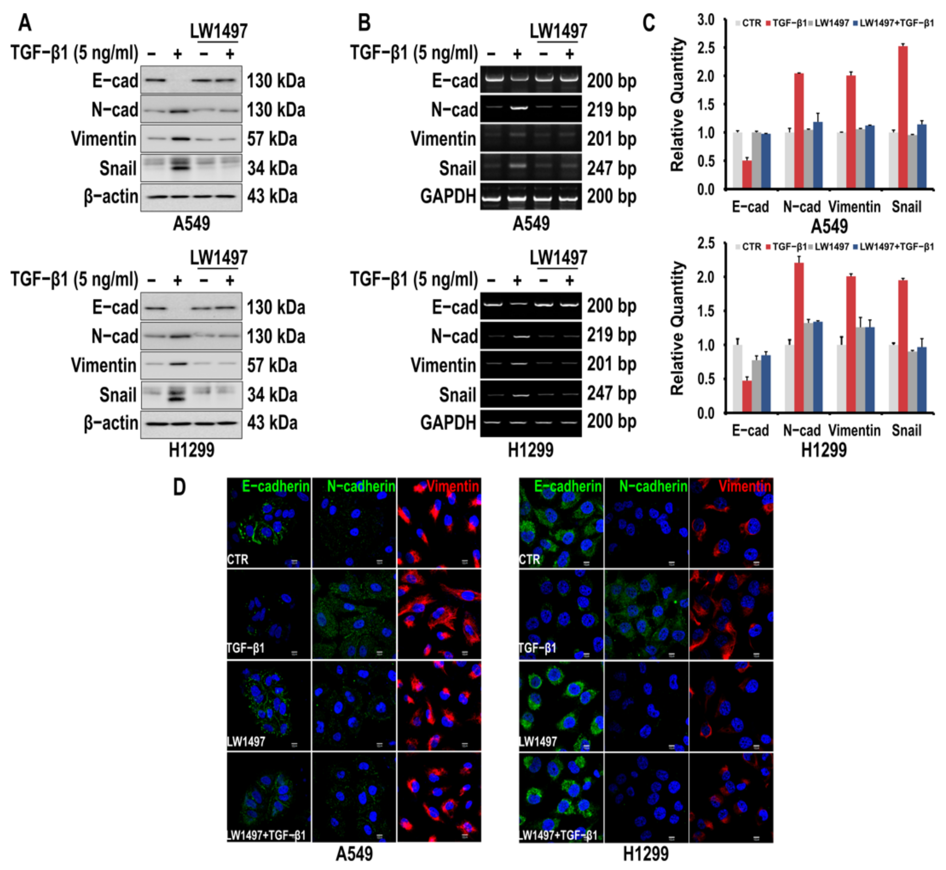 Antioxidants 10 01674 g001