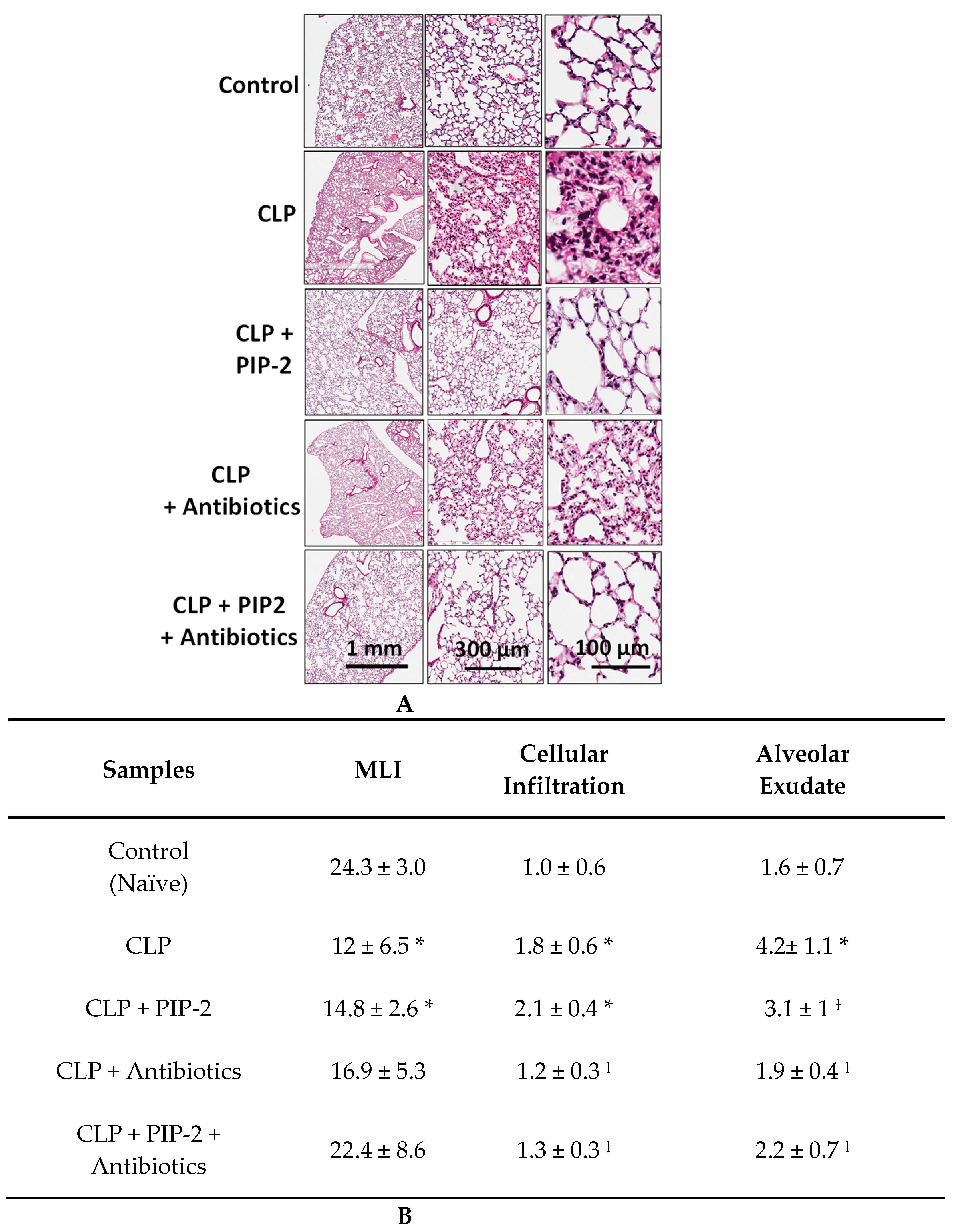 Antioxidants 10 01676 g001