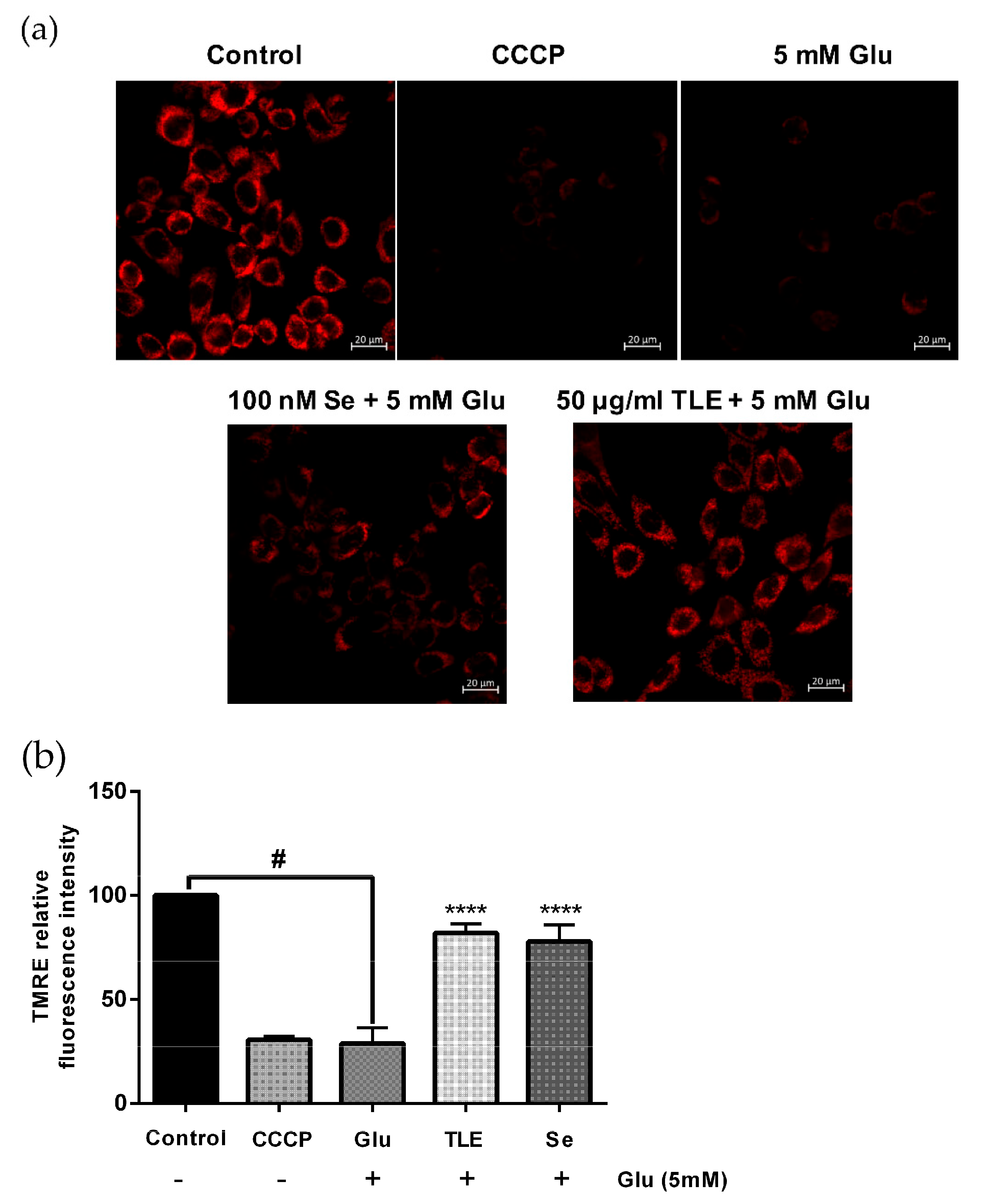 Antioxidants 10 01678 g003